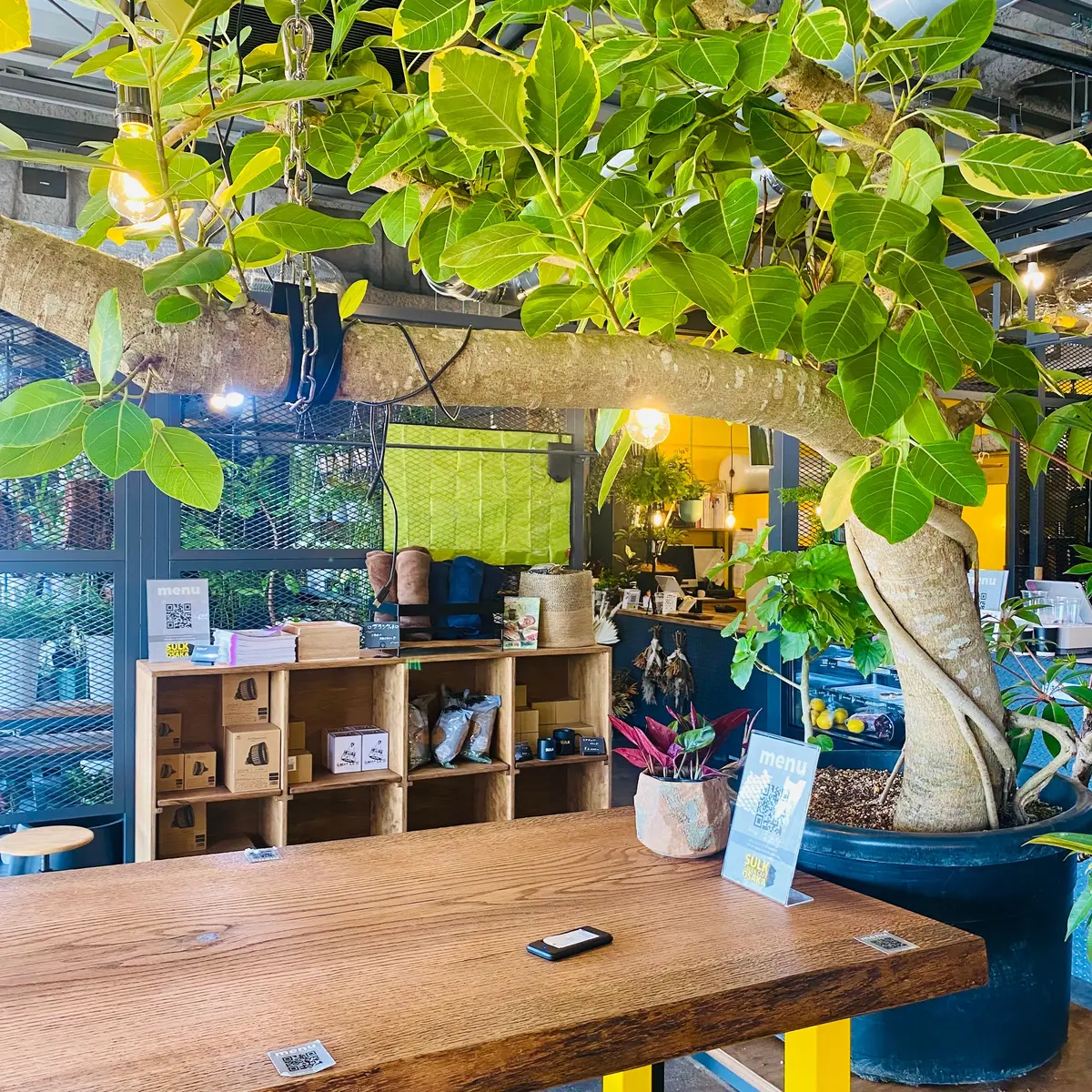 SULK GREEN CAFE OSAKA
