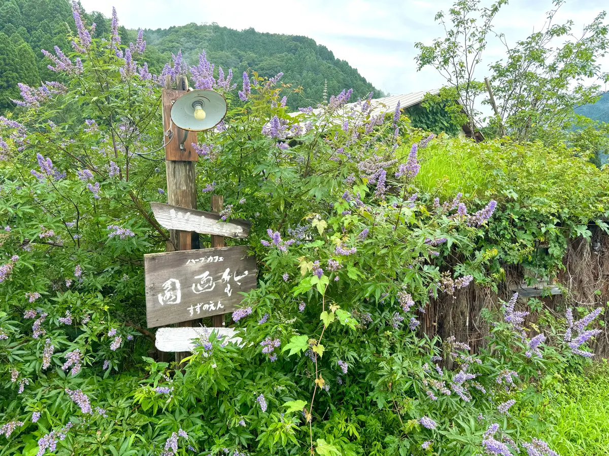 【福井県坂井市】まるでジブリの世界🌿オーの画像_3