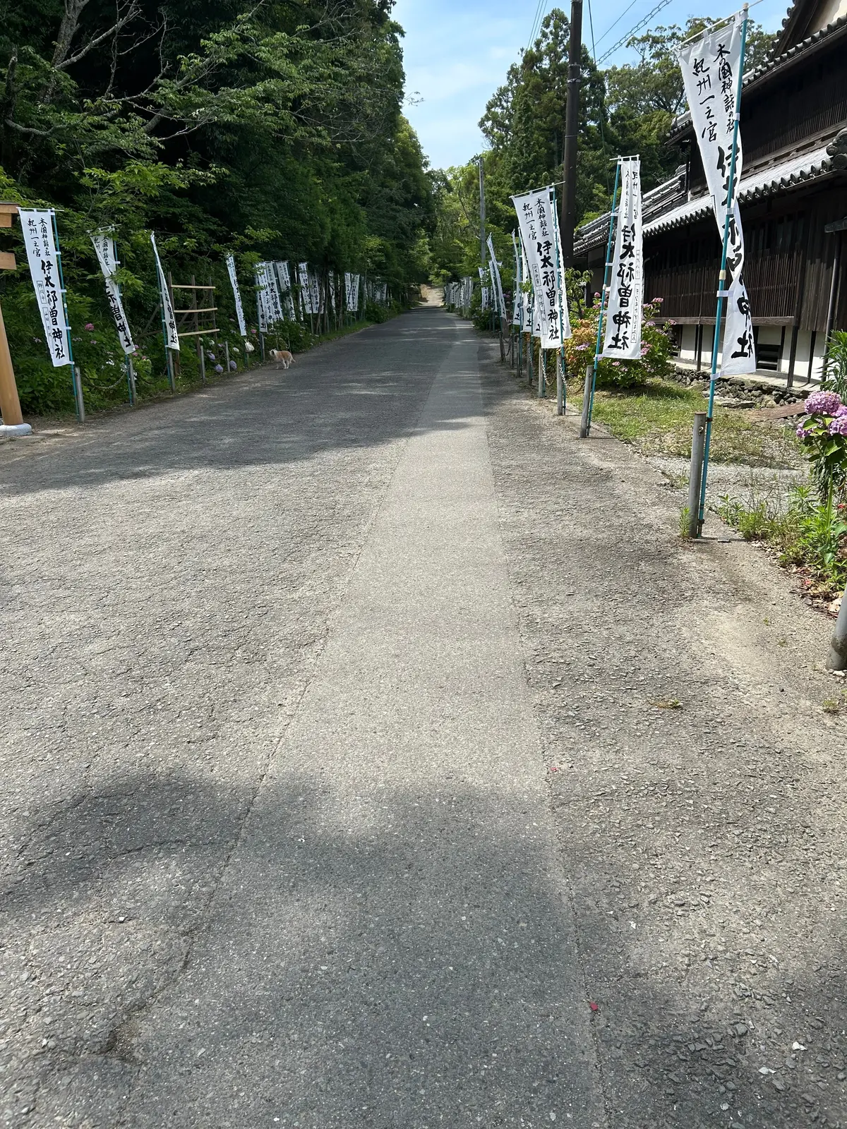 伊太祁曽神社入り口
