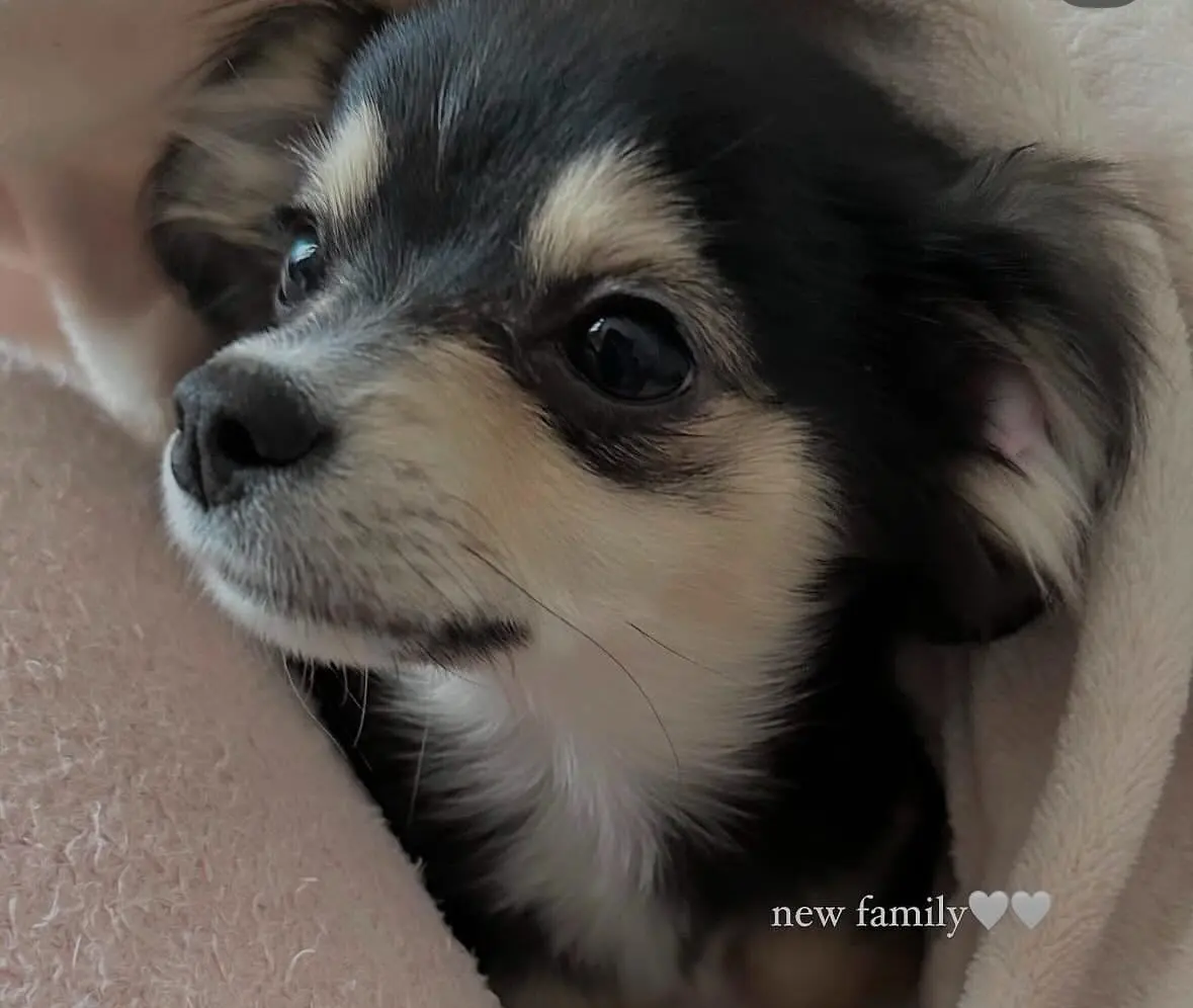 【はじめまして】MOREインフルエンサーの画像_5