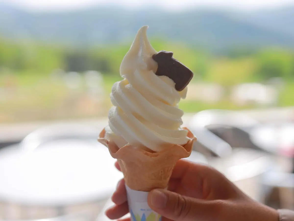 【北海道】名物グルメ「しゃけ茶漬け」「海の画像_26