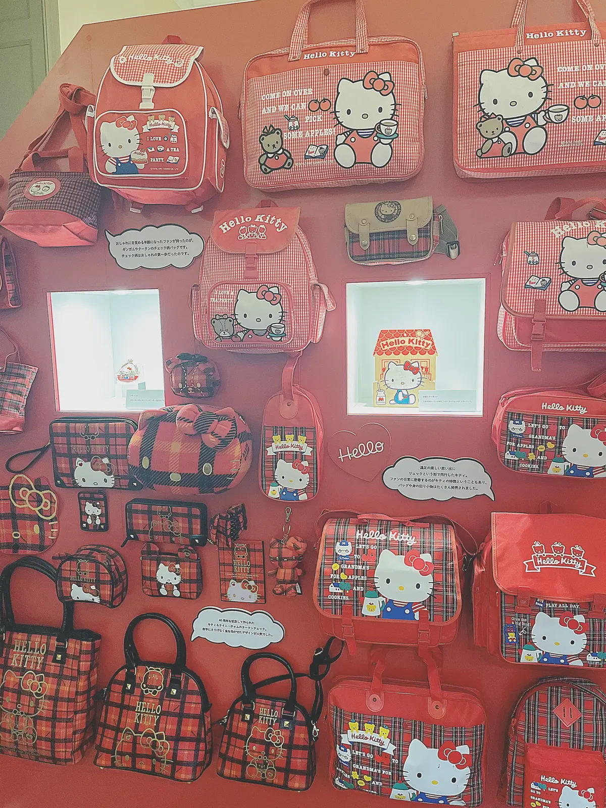 【 2025上半期 BEST おでかけ｜の画像_6