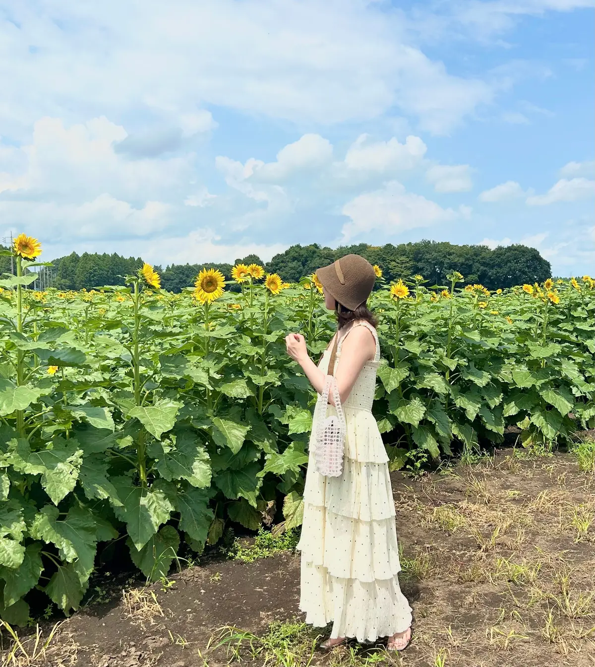 【茨城県/那珂市】25万本の向日葵が咲くの画像_6