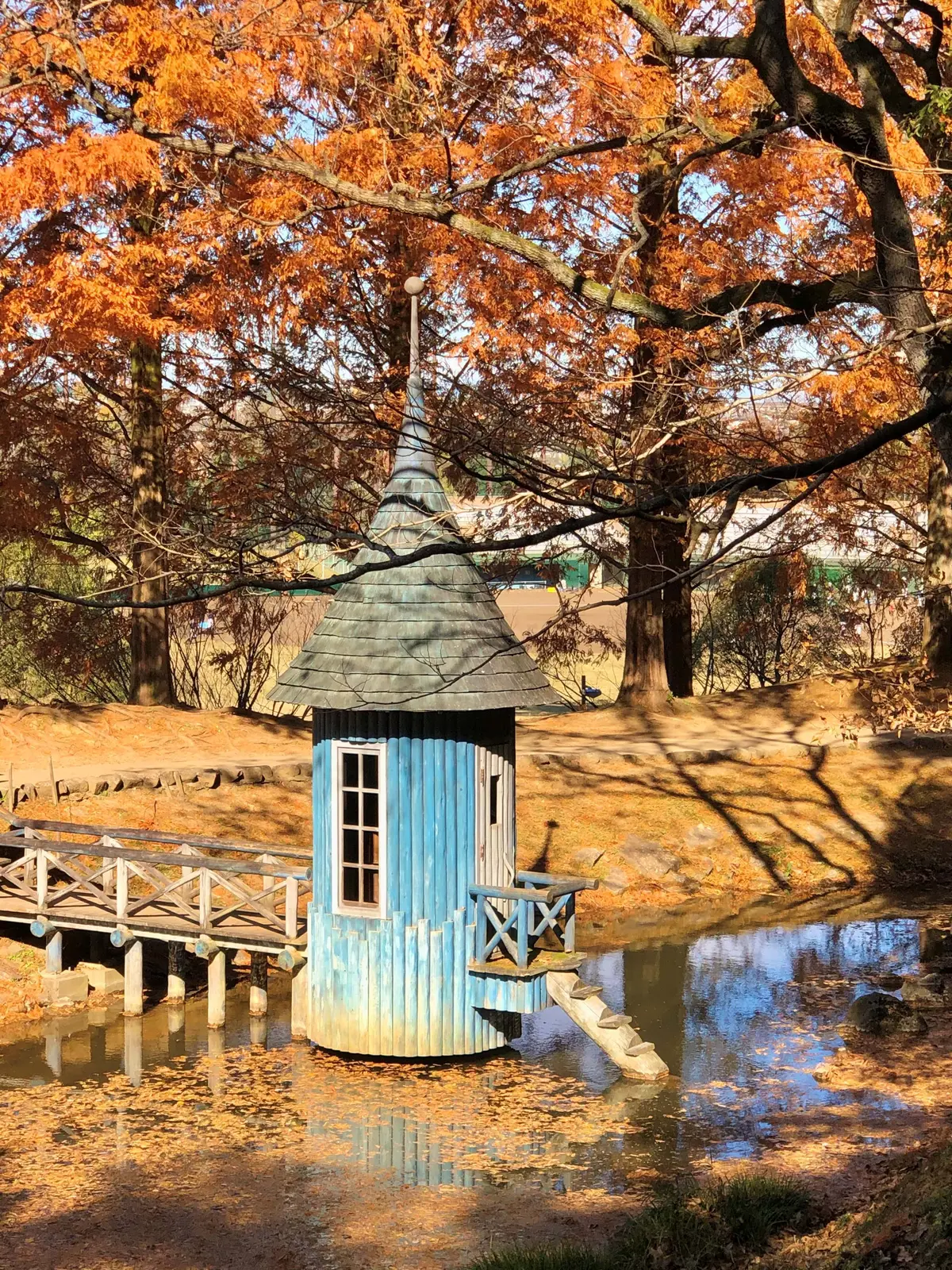 埼玉】北欧の童話の世界へ、おすすめ紅葉スポット「トーベ・ヤンソンあけぼの子どもの森公園」 | MORE