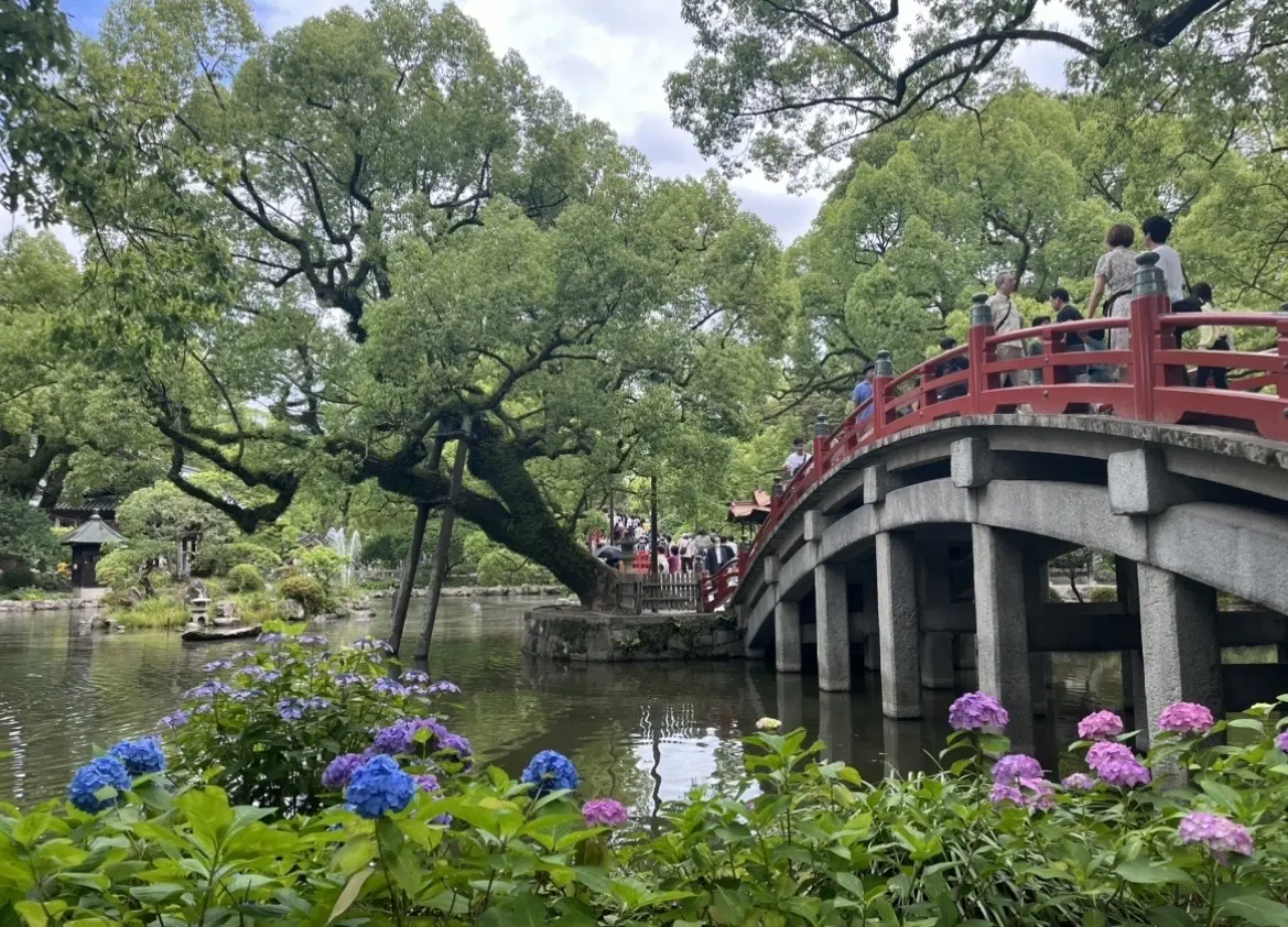 福岡_太宰府天満宮_6月紫陽花