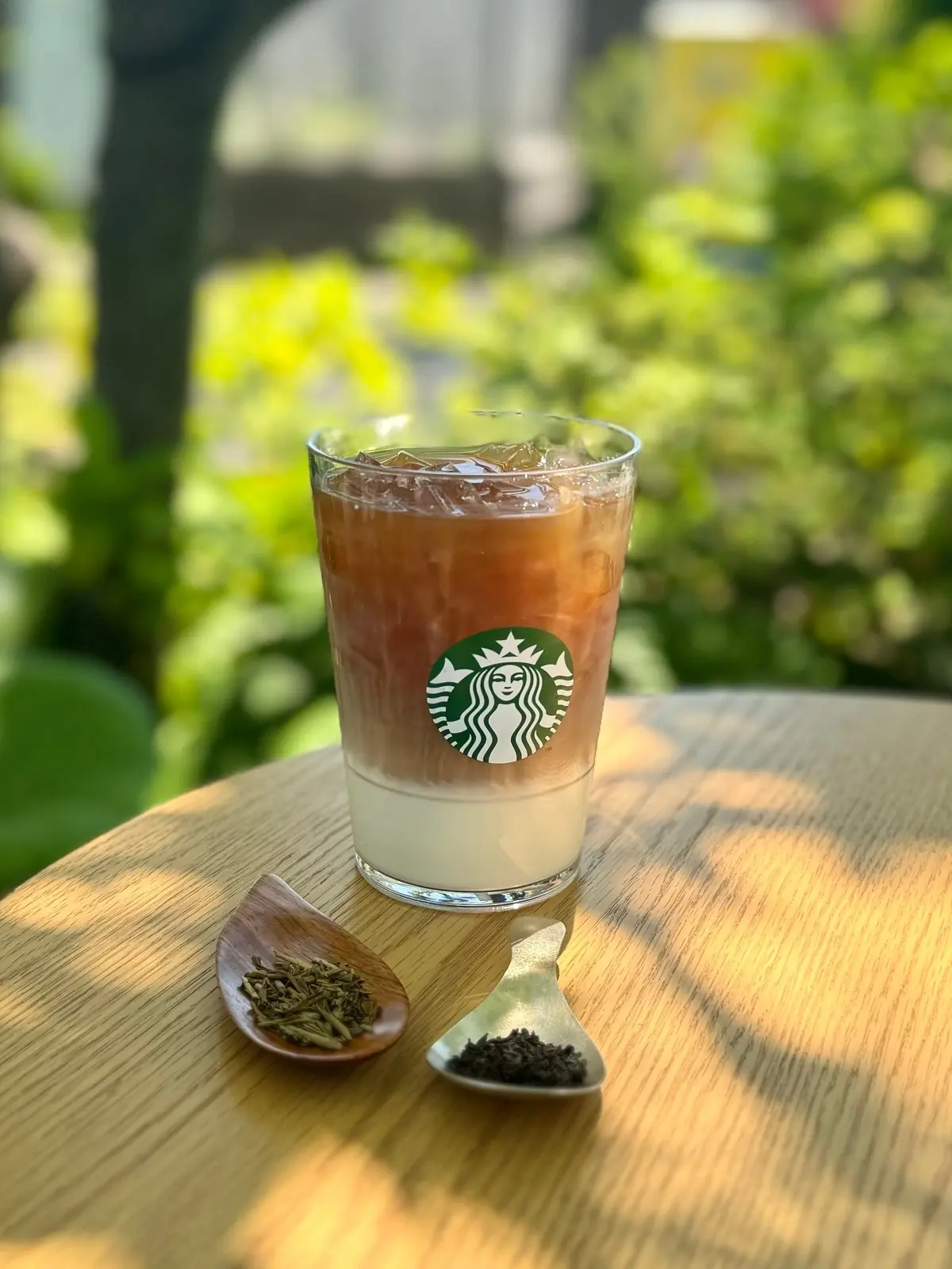 スタバ「ほうじ茶 ＆ クラシックティー ラテ」とイメージ茶葉