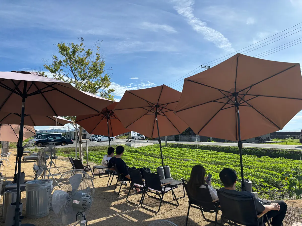 【兵庫県｜淡路島】SNSで大人気！写真映の画像_5