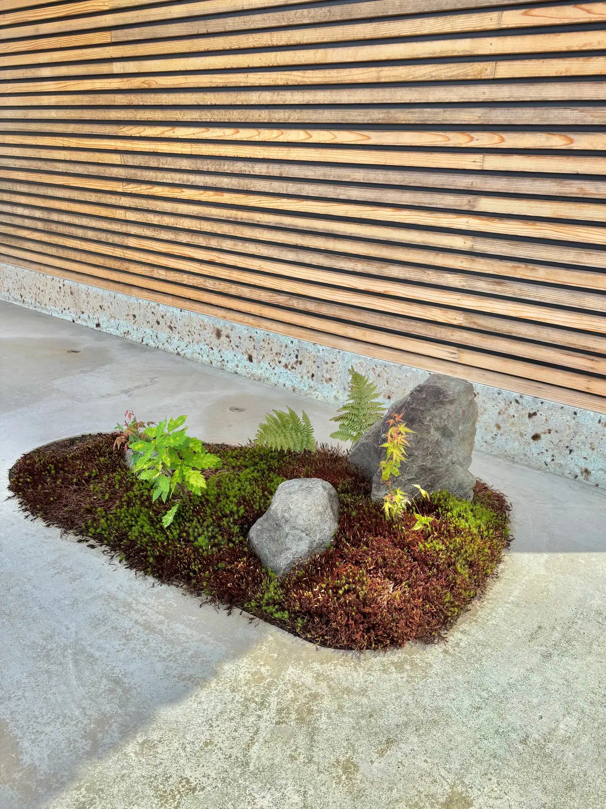 NHKのプロフェッショナル 仕事の流儀でも取り上げられた米農家「関農園」の世界一を6度受賞しギネス世界記録でもある幻の米でつくったおにぎり専門店「FARM FRONT」の「土鍋炊き塩むすび」と「海苔」