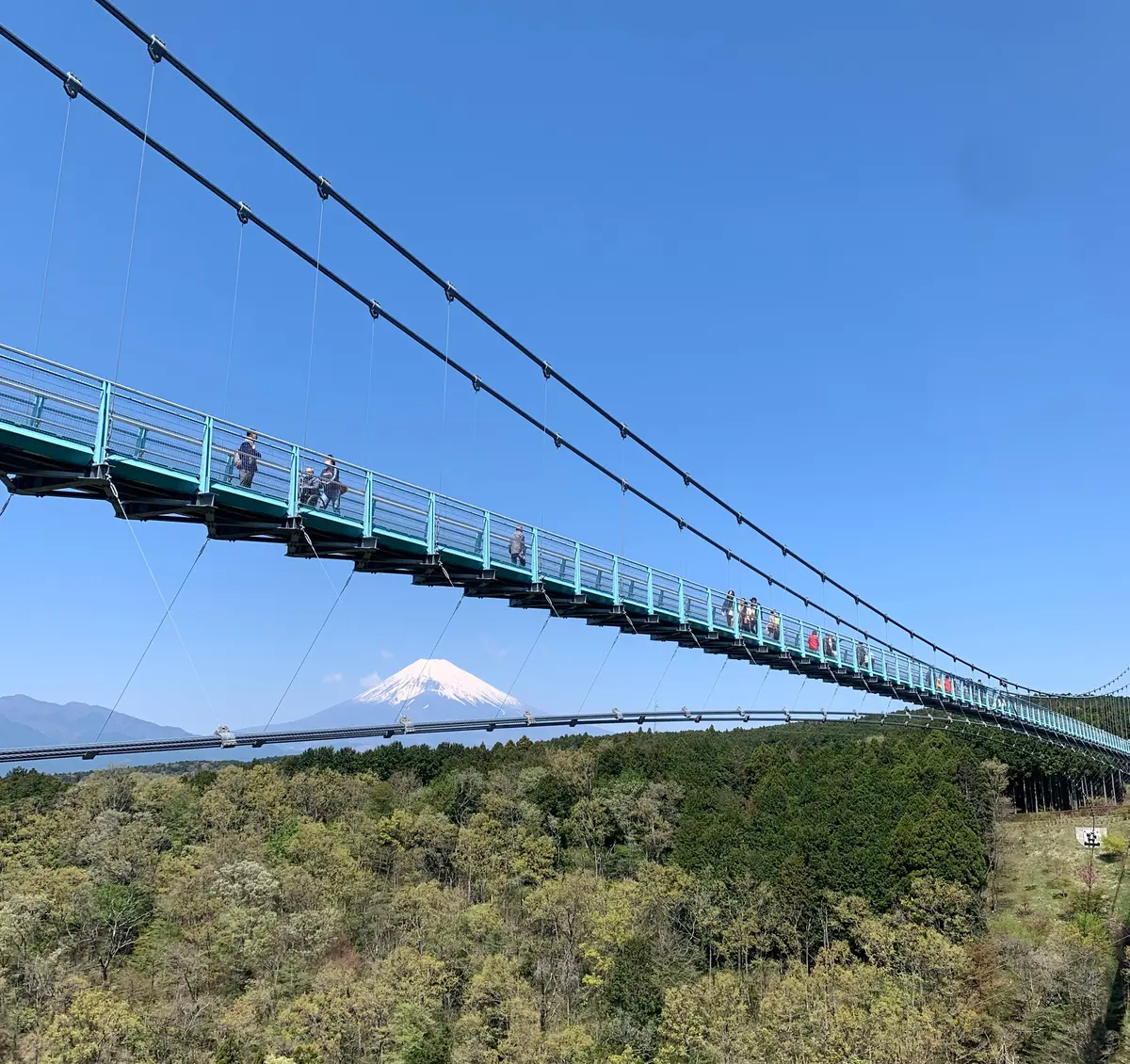 【静岡　箱根】カップルでも家族でも！夏休の画像_3