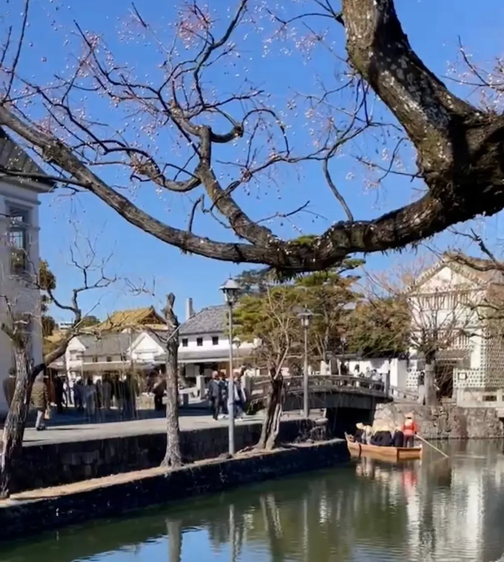 【岡山県】桜が綺麗！この春行ってみたい！の画像_1