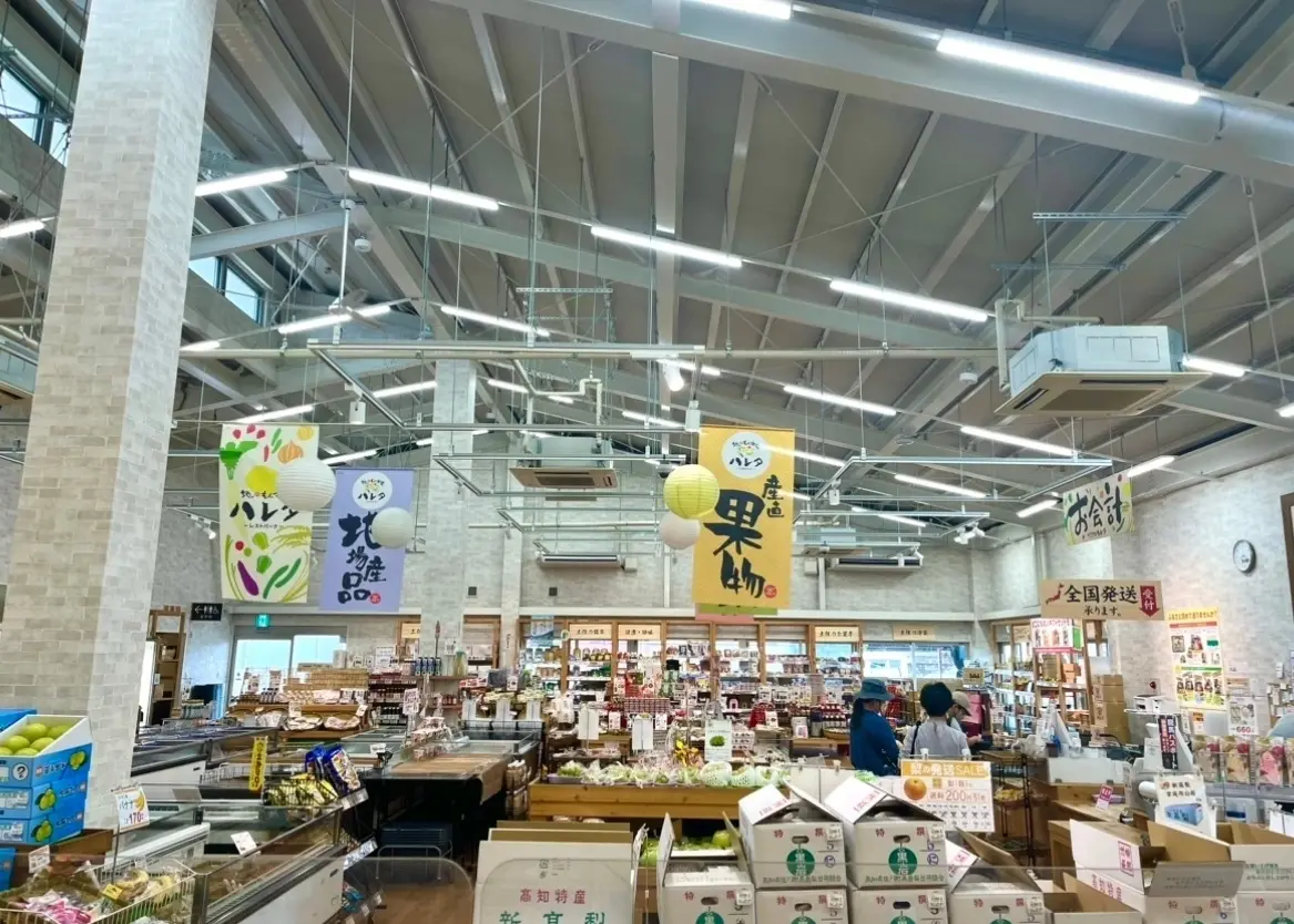 高知県_高知旅行_道の駅_ハレタ