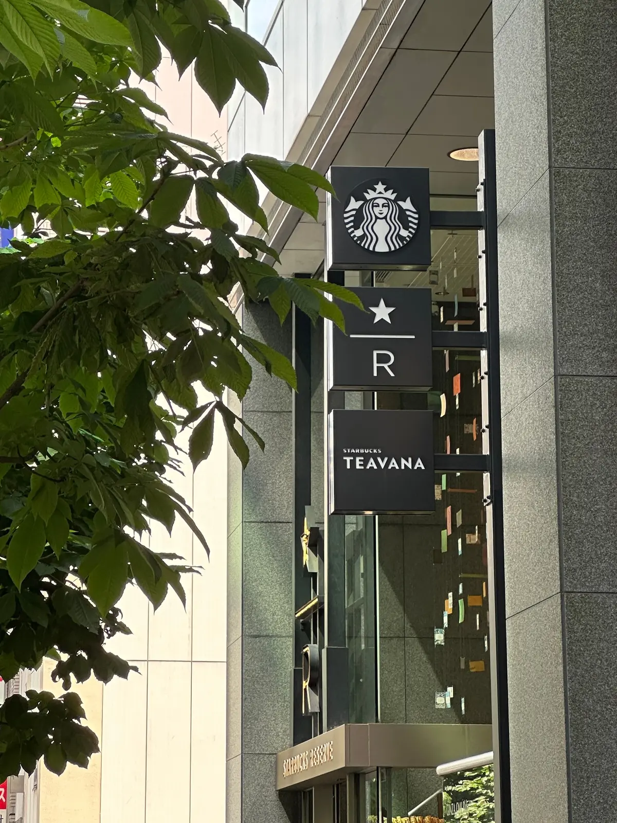 【スタバ新作】リザーブ夏限定ドリンクを正の画像_1