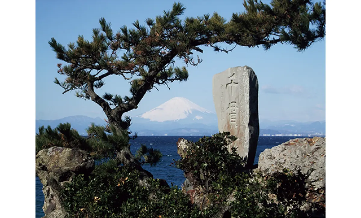 森戸大明神 千貫松と富士山