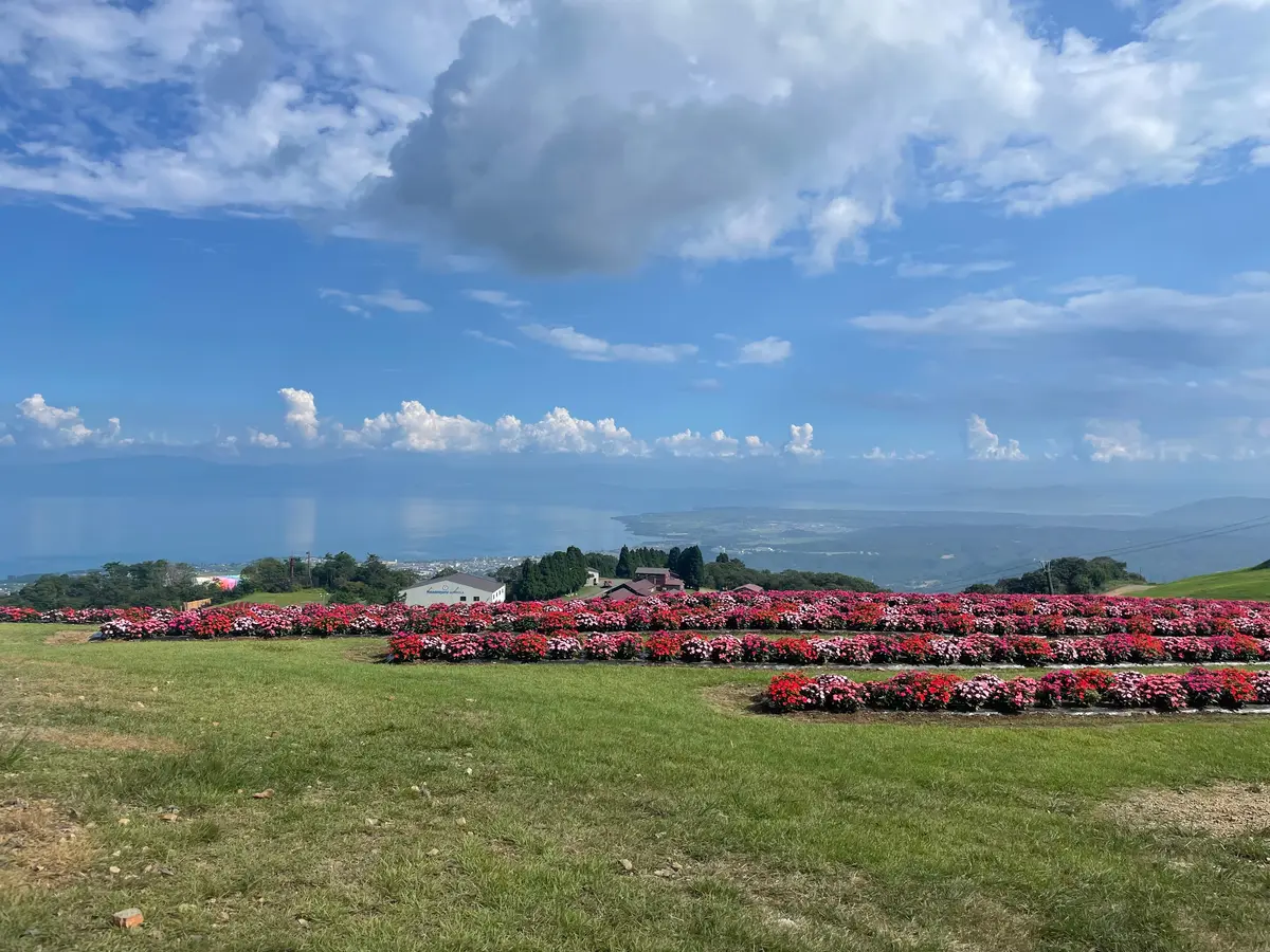 【びわこ箱館山】大迫力！虹のカーテン🌈の画像_5