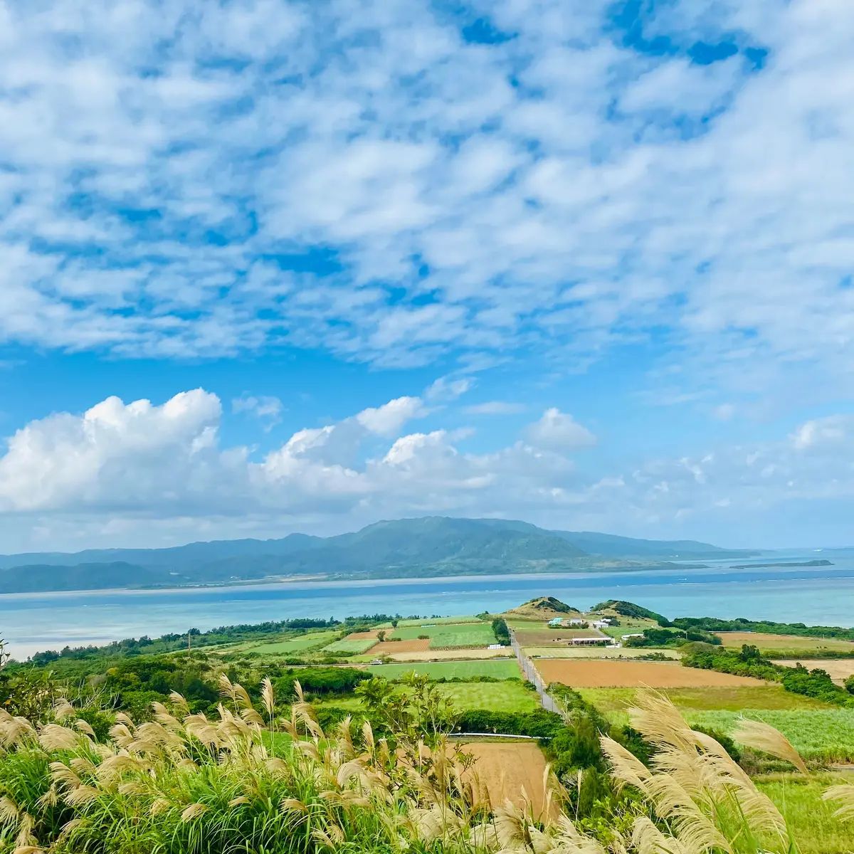小浜島
