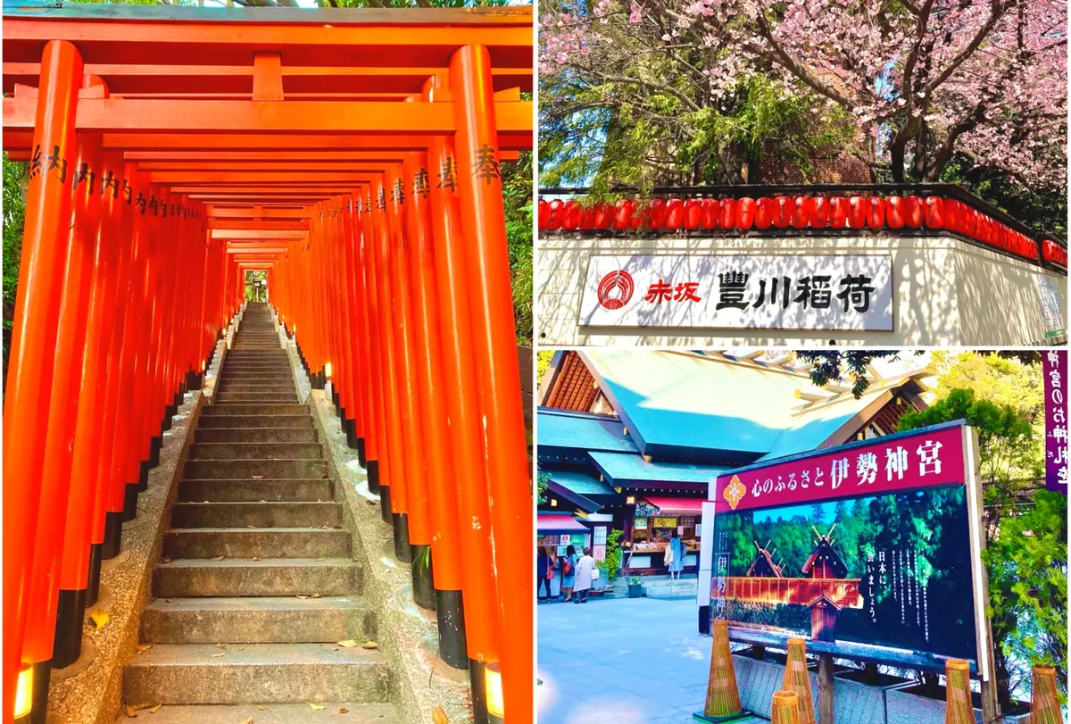 神社　日枝神社　鳥居　階段　東京大神宮　豊川稲荷東京別院　桜　提灯