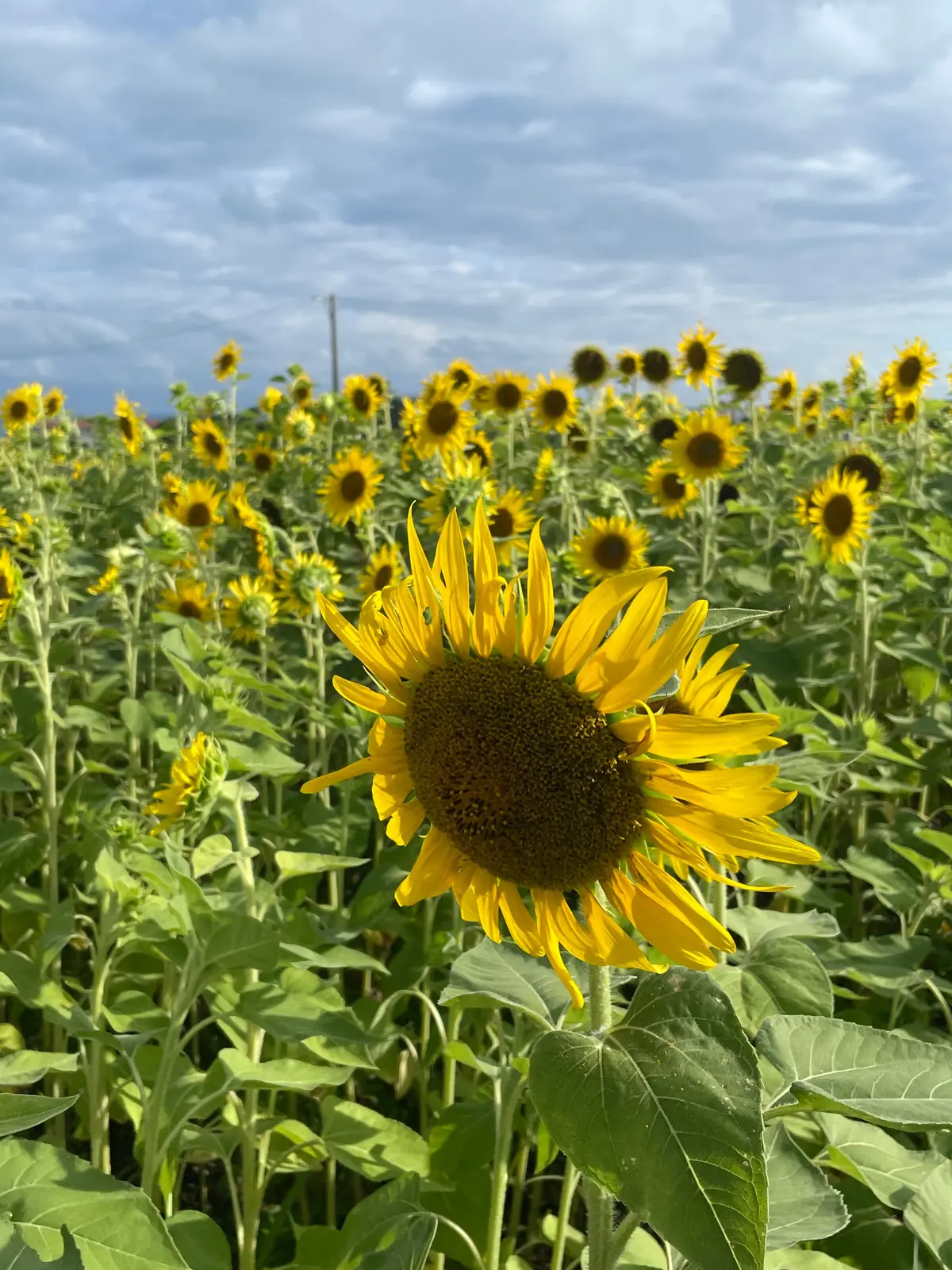 第6期もよろしくお願いします☺︎！の画像_1