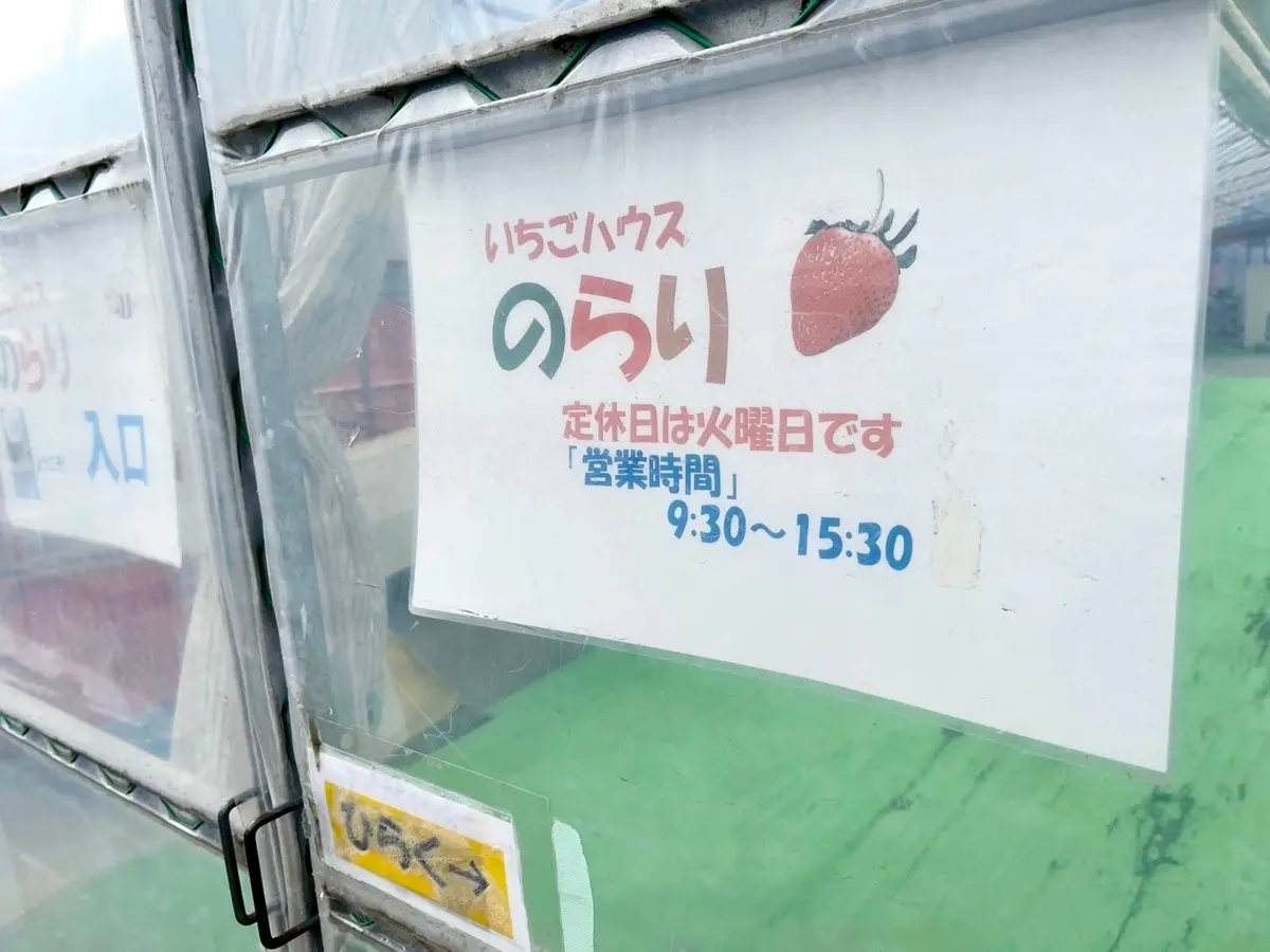 【福井】春に行きたい！あまいいちごが食べの画像_1