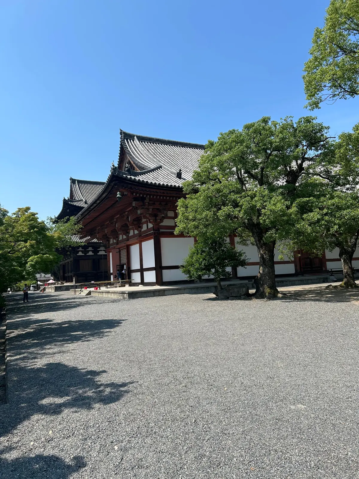 東寺　金堂