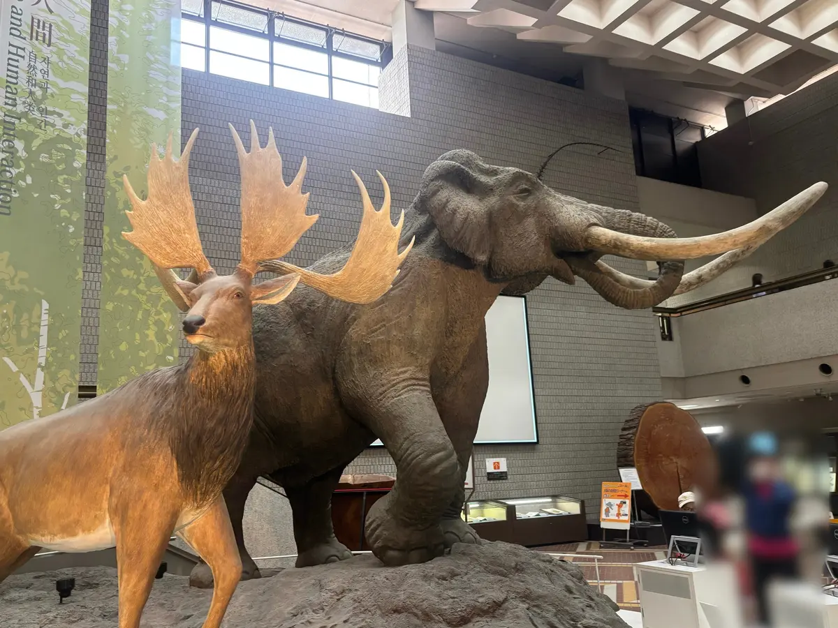 【映えスポットあり！】1万株のあじさいがの画像_3