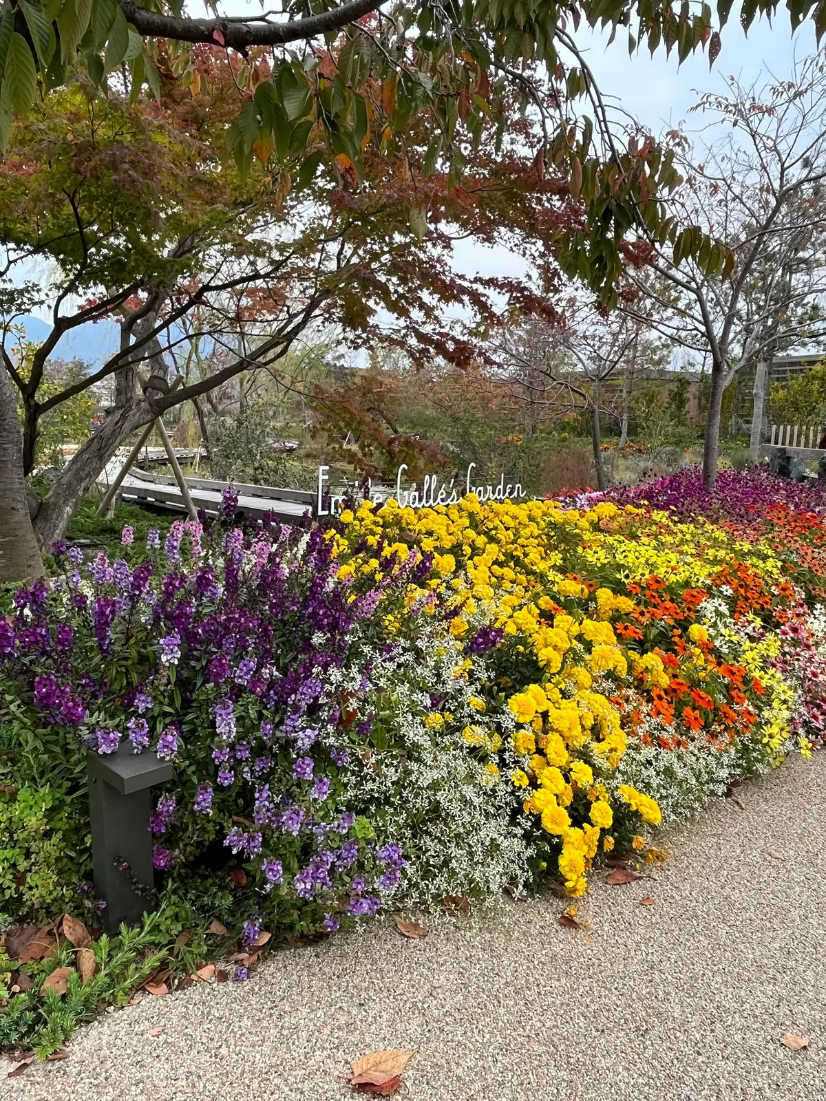 【広島】瀬戸内海をイメージした動く美術館の画像_11