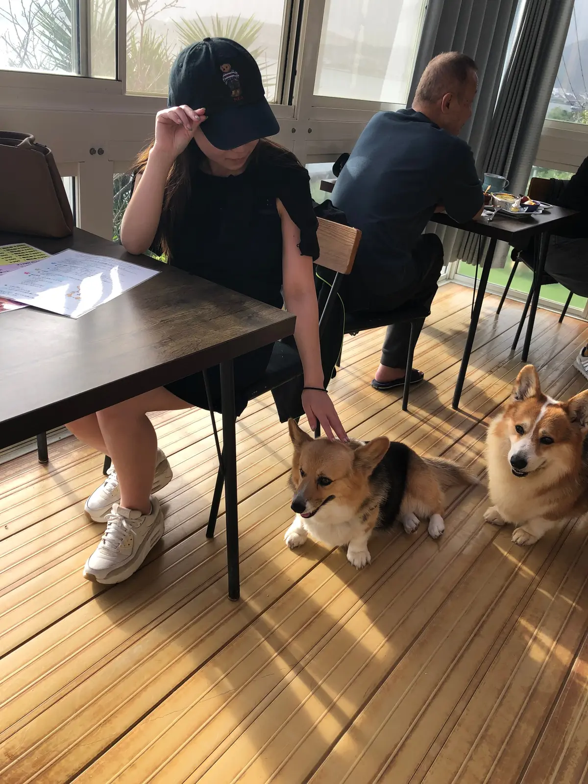 【長崎】犬好き発見！絶景ドックカフェ🐕の画像_5