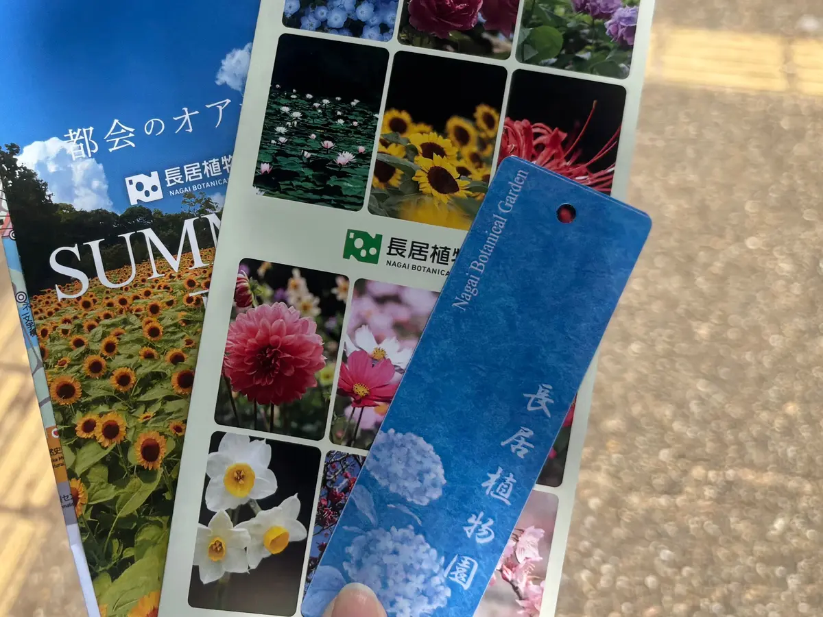 【映えスポットあり！】1万株のあじさいがの画像_6