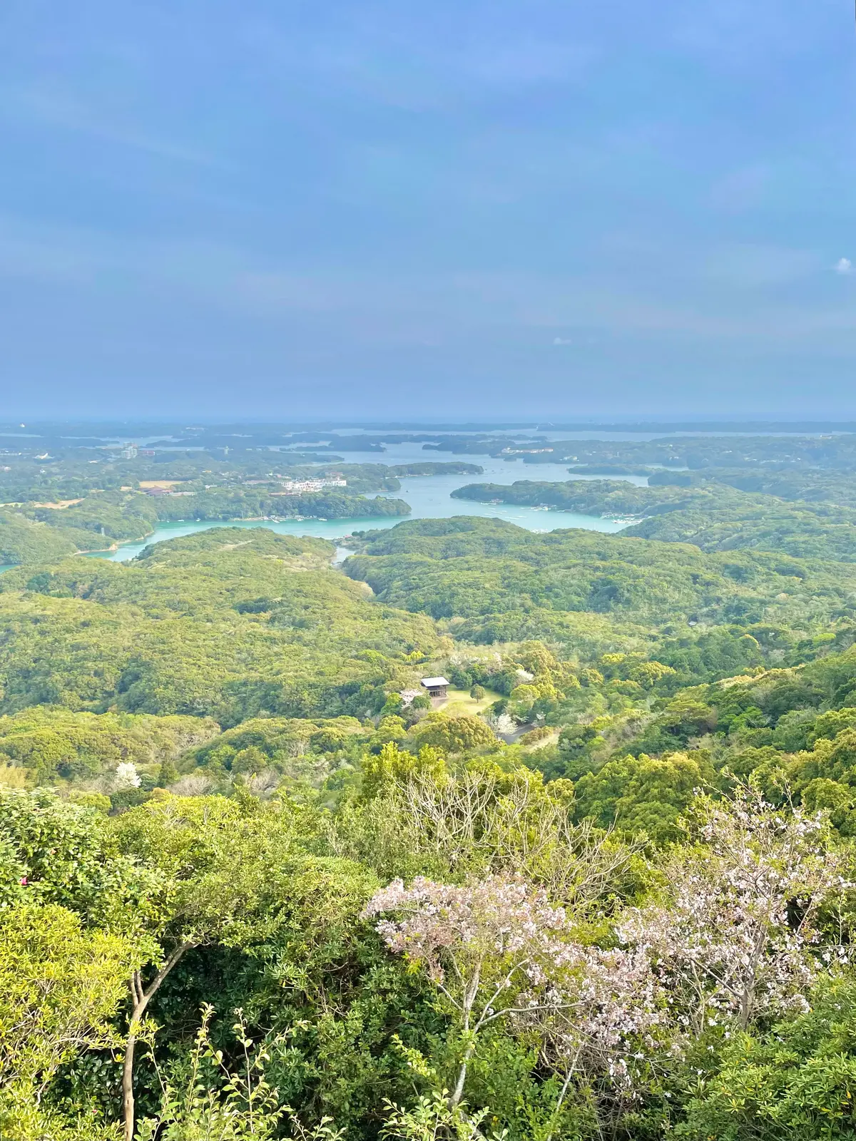 伊勢志摩国立公園の雄大な自然を楽しめる横山展望台 天空カフェテラスにある「ミラドール志摩」