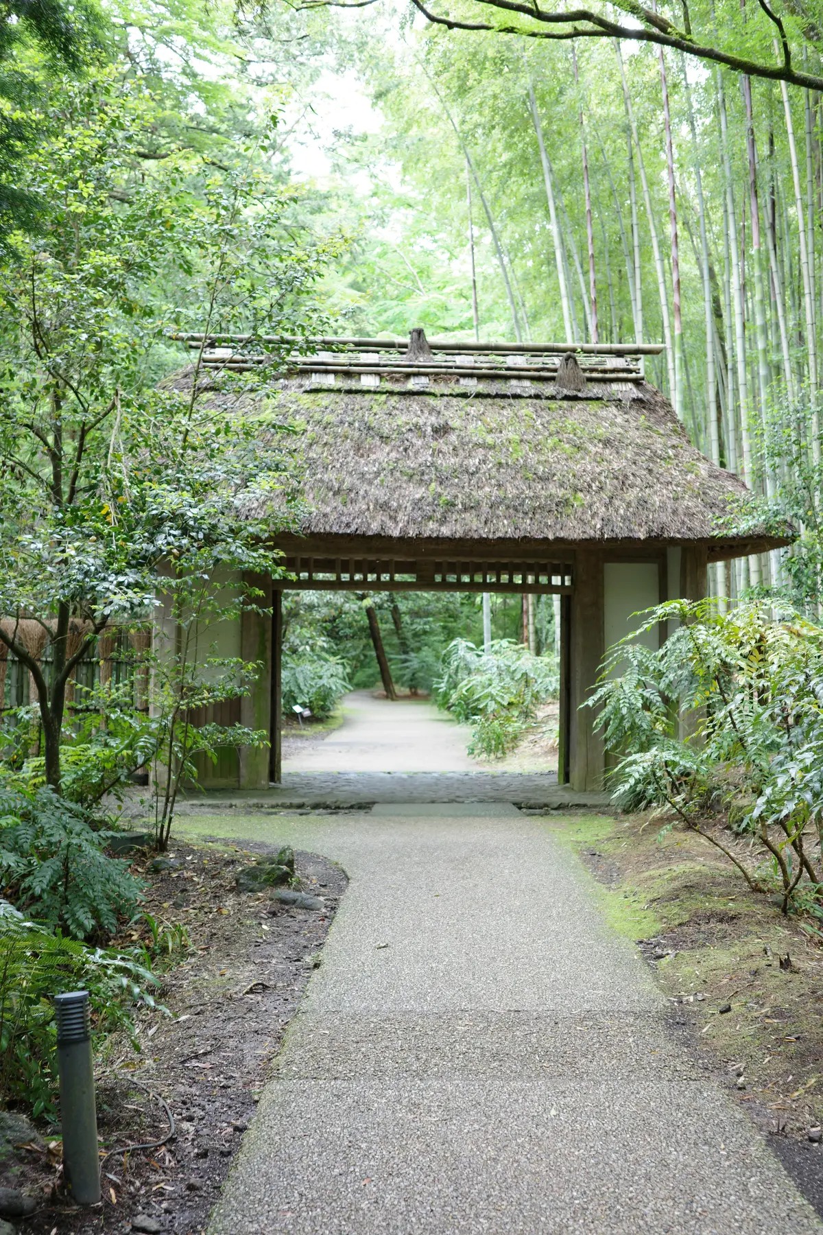 【静岡・御殿場】自然の中で癒されながら頂の画像_6