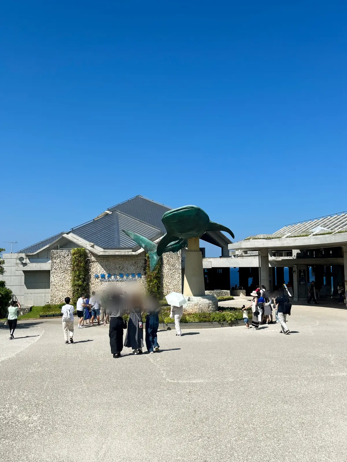 【沖縄】完全ガイド！沖縄美ら海水族館の魅の画像_2