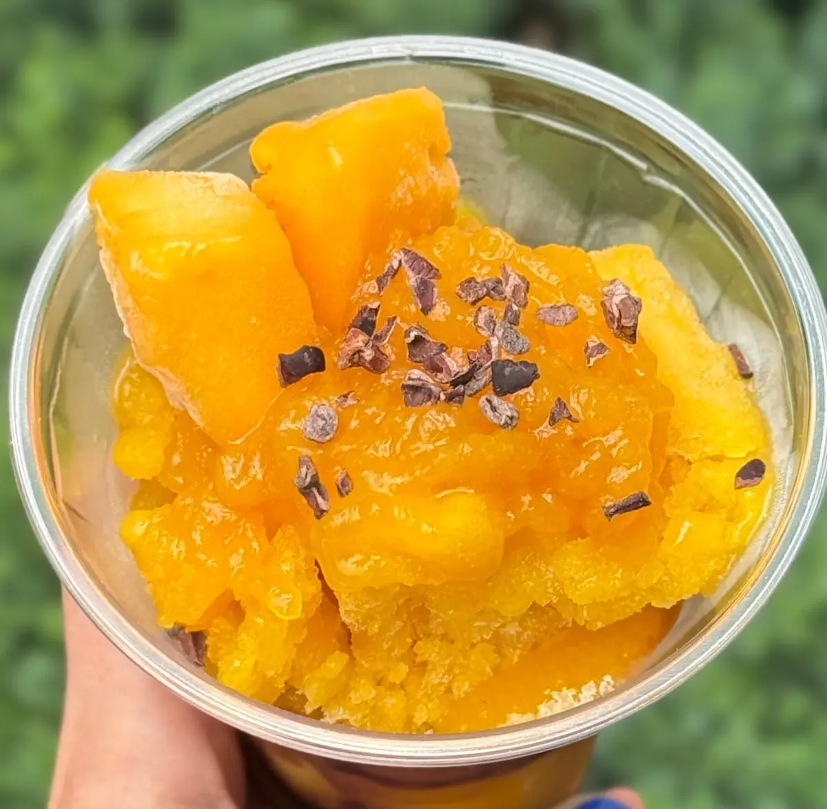 スタバのかき氷!? 『プリンチ(R)』のの画像_9