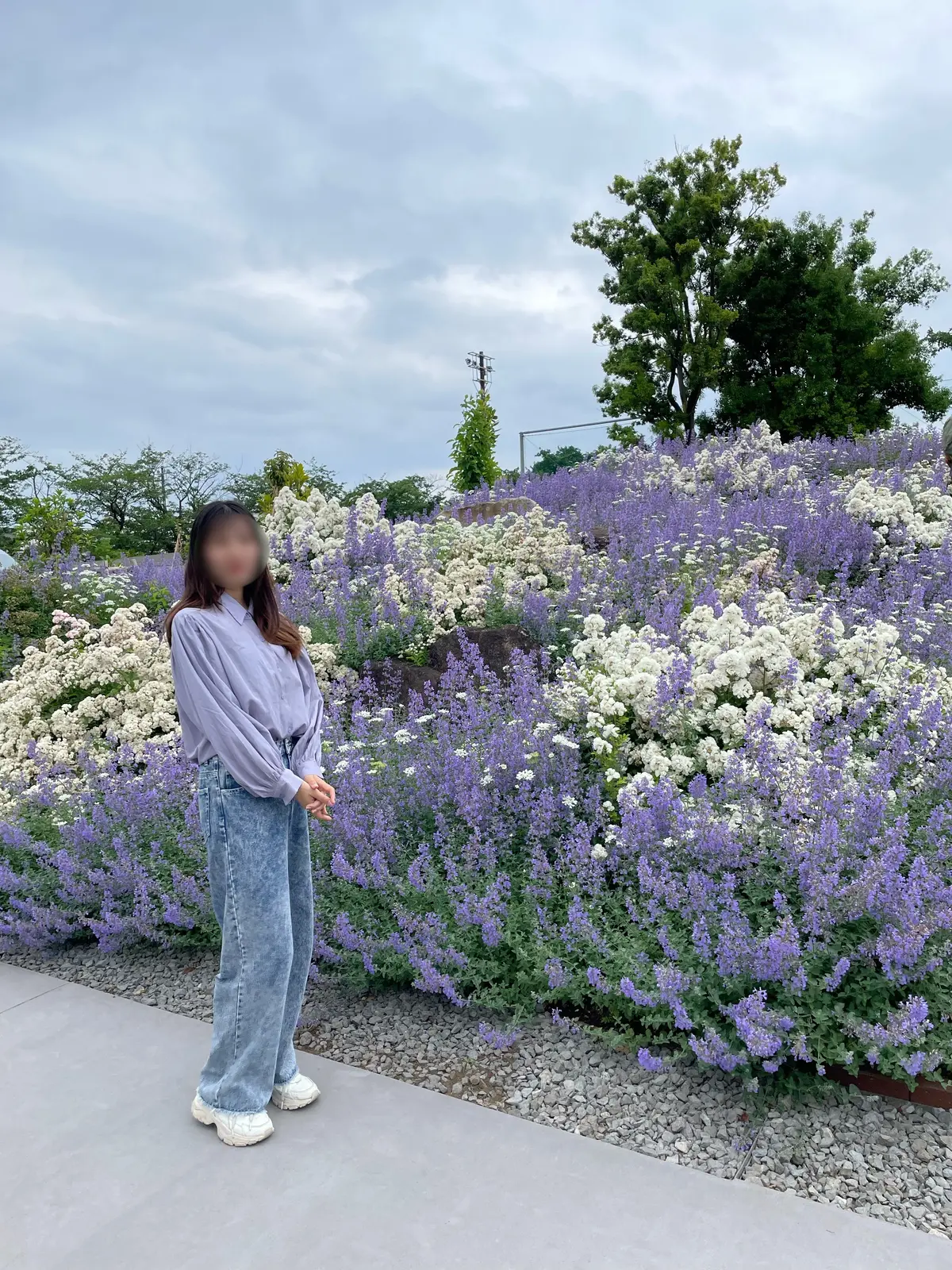 【神奈川県･バラ園】入場料無料！今が見頃の画像_3