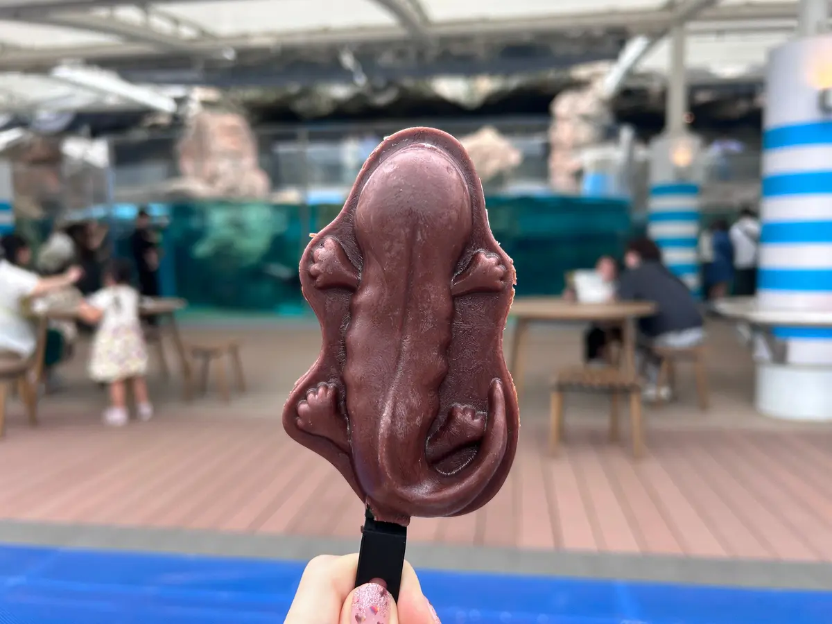 京都｜【昨日生まれたの！？】生後1日のクの画像_2