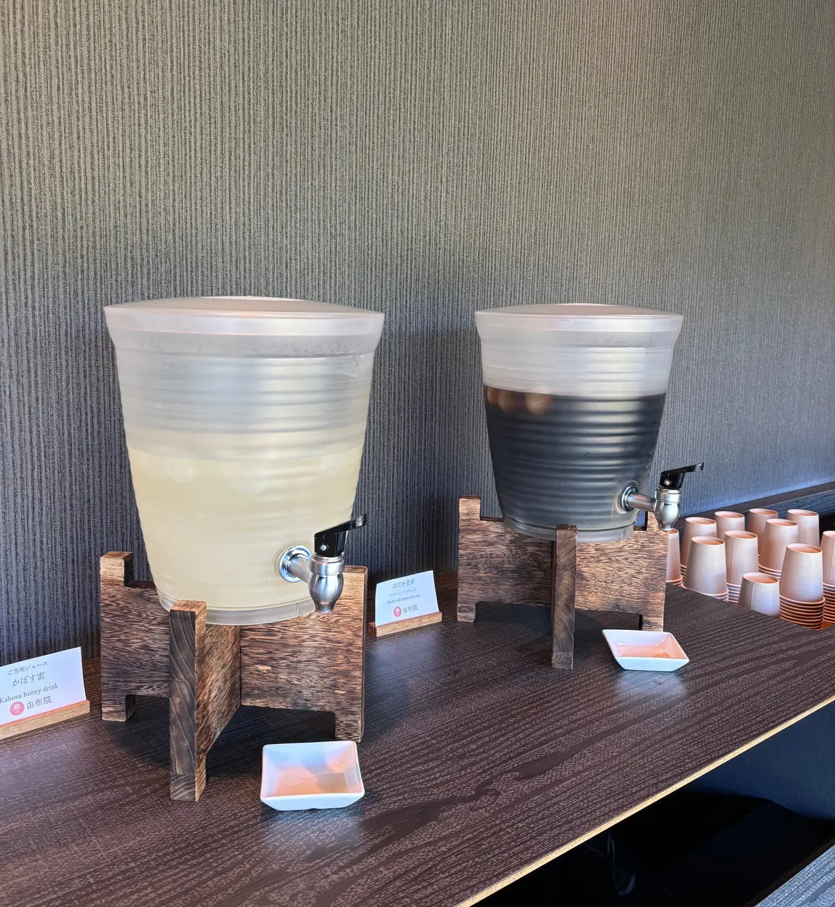 【大分・由布院】1泊2日で心も体もリセッの画像_9