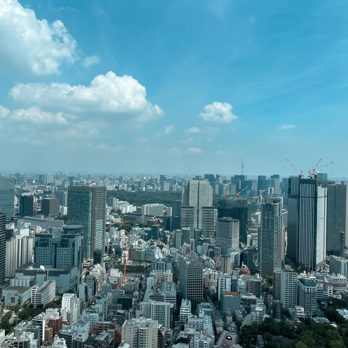 リッツカールトン東京にステイ☺️💕の画像_7