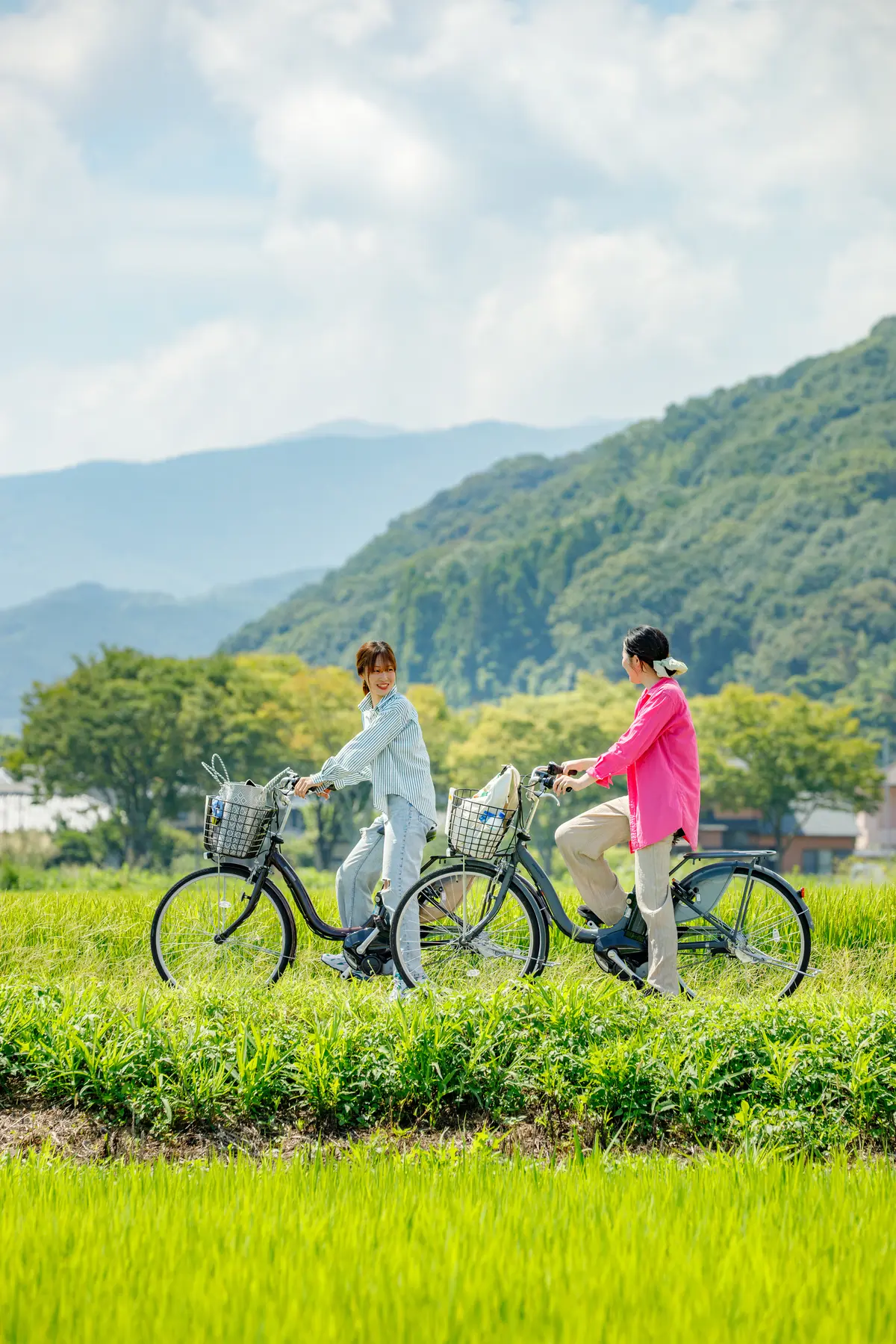 レンタサイクル　鹿島市　肥前浜駅