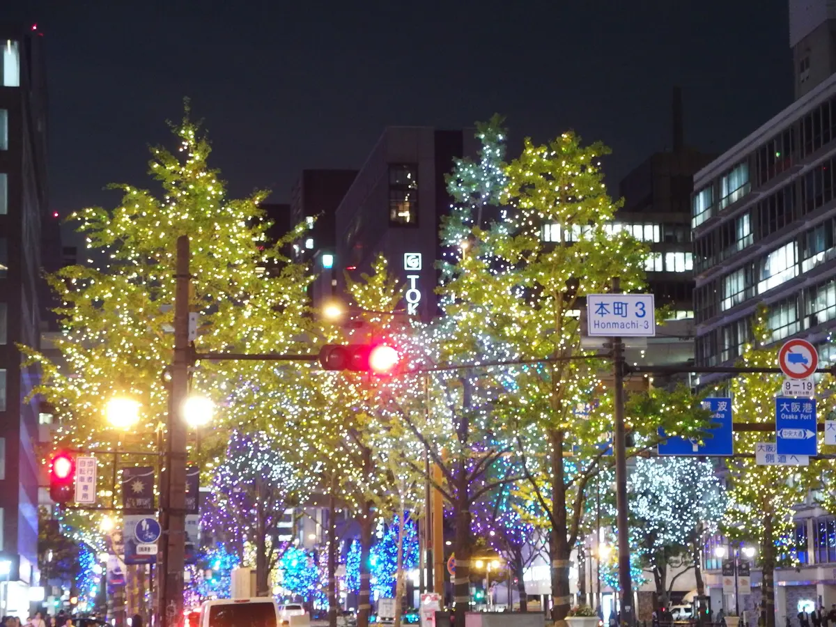 【御堂筋】今年もこの季節が✨御堂筋イルミの画像_2