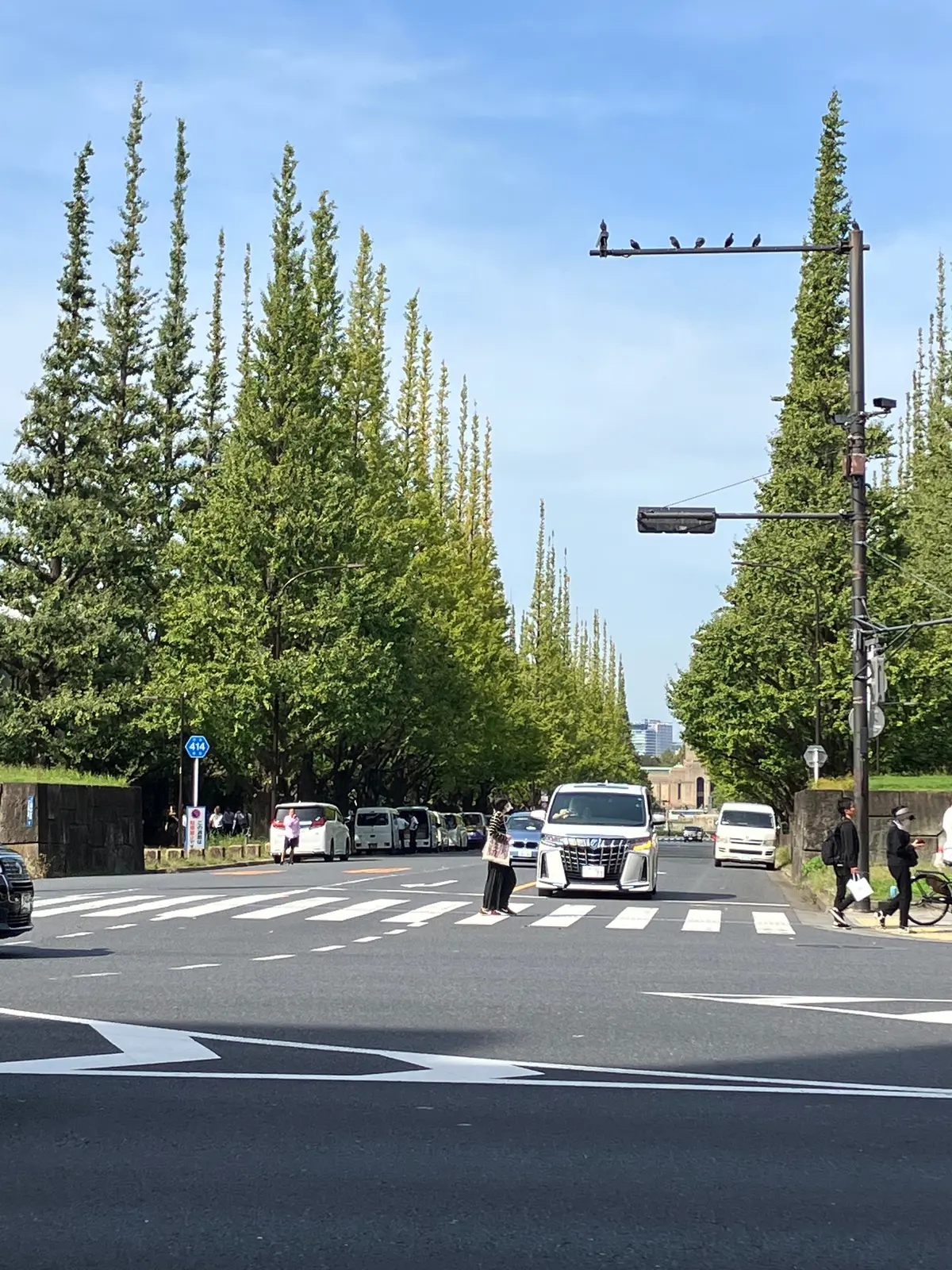 【東京】神宮外苑でランチならここ！緑に癒の画像_3