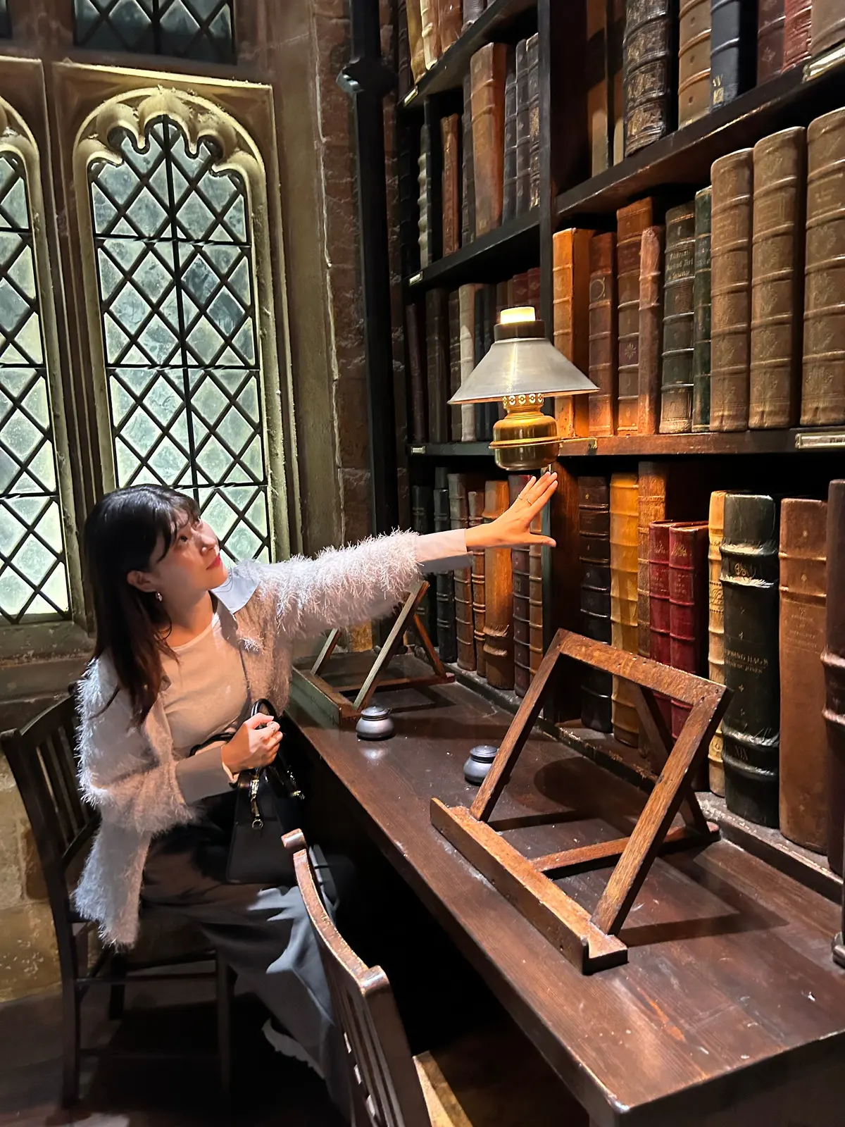 スタジオツアー東京、ホグワーツの図書館