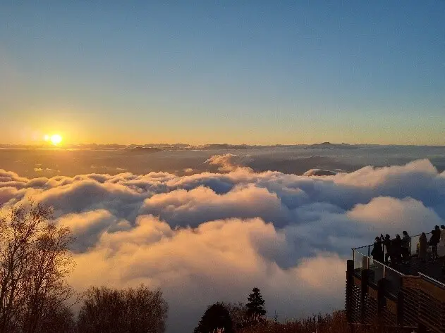 標高1,770mからの絶景を堪能