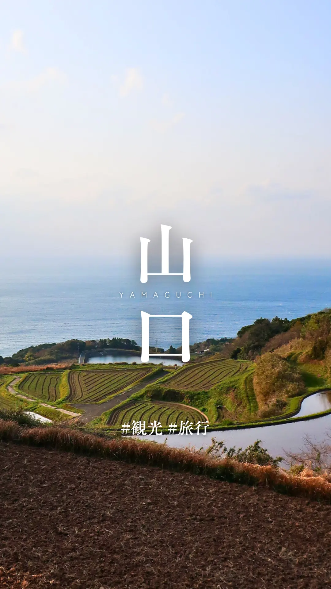 【山口県おすすめ観光コース】唐戸市場/角の画像_1