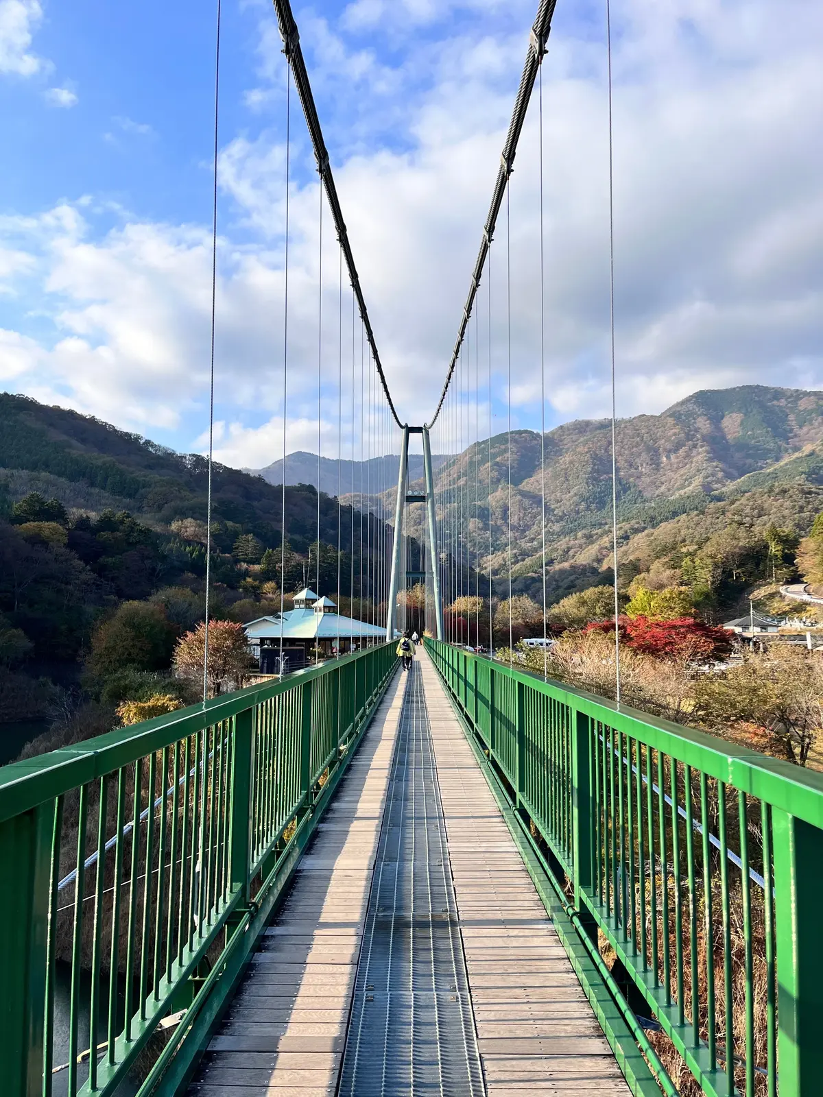 栃木県　那須塩原　ドライブ　カフェ　塩原渓谷もみじ谷大吊橋　那須高原展望台　MOREJAPAN 