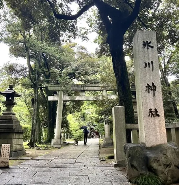 【東京女子旅】〜東京３大縁結び+α！よくの画像_10