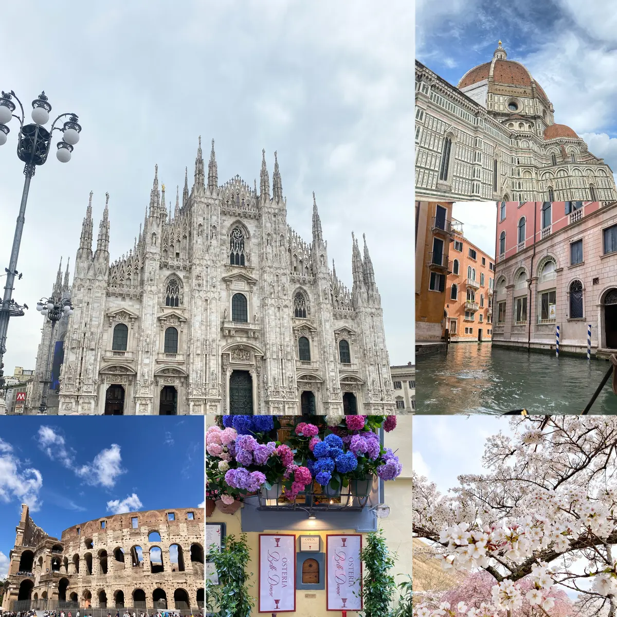 【第6期ご挨拶】インフルエンサーズNo.の画像_2