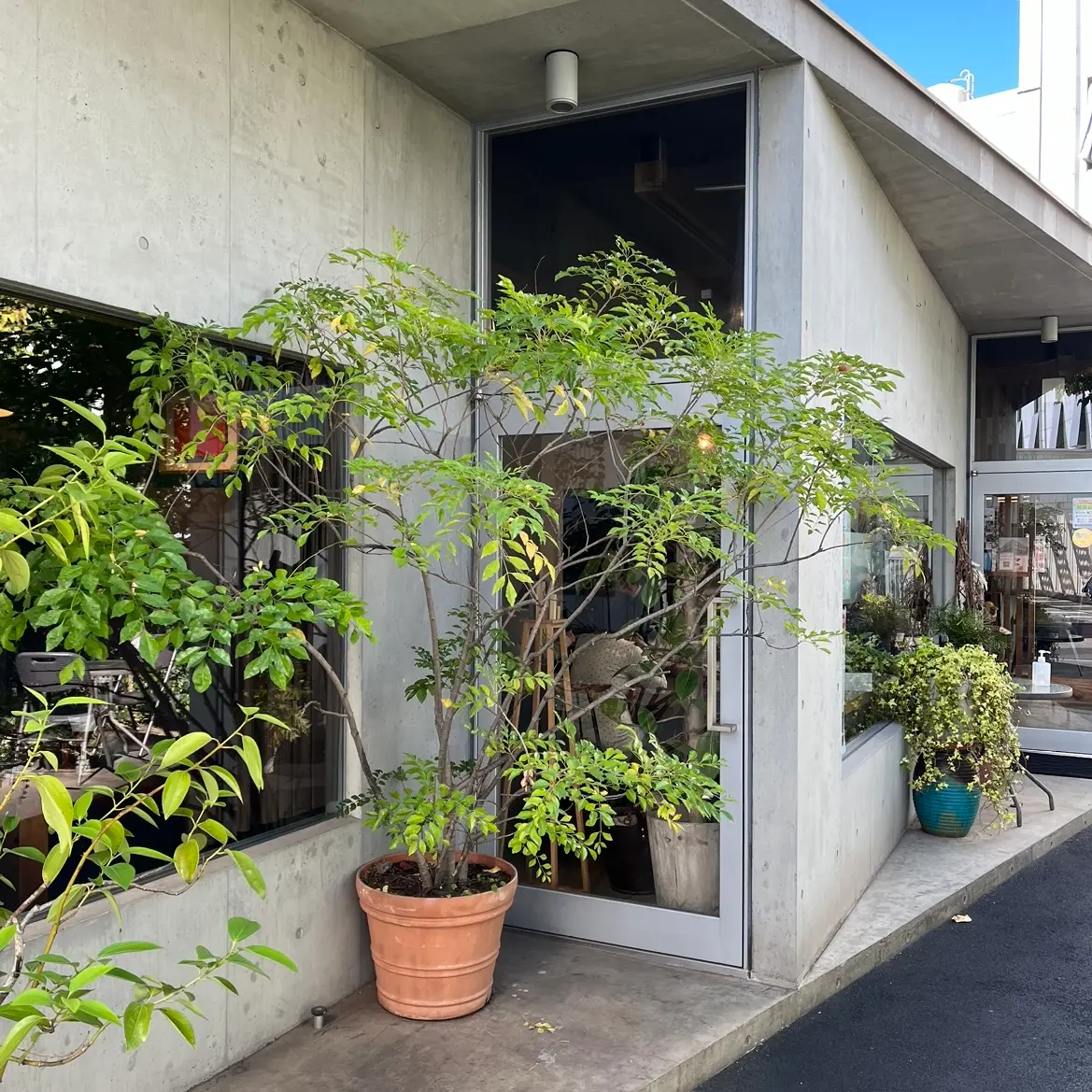 【大分県】婆皿よしたけの和食ランチが美味の画像_1