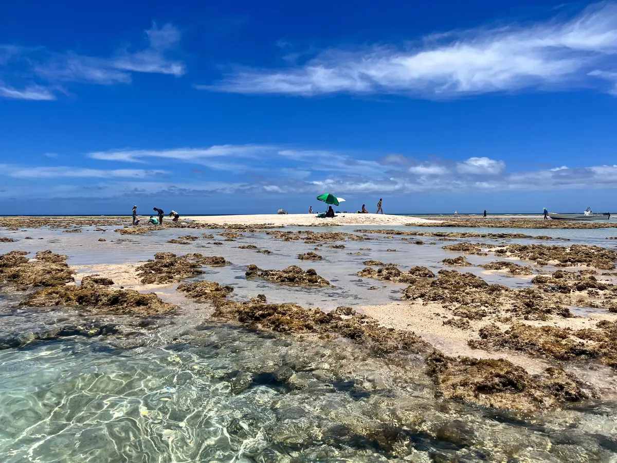 《鹿児島・与論島》逆写真詐欺すぎる圧倒的の画像_2