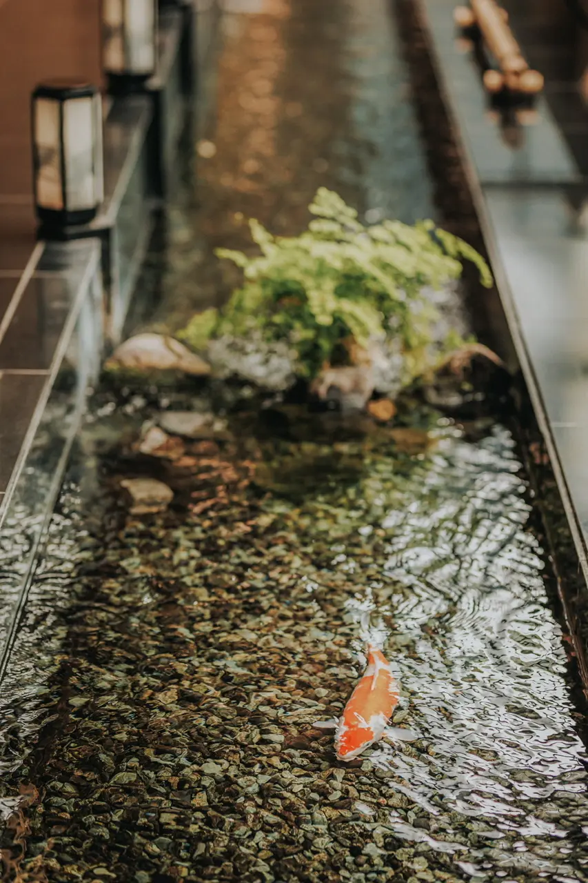 【ホテル雅叙園東京】全室スイートルーム！の画像_5