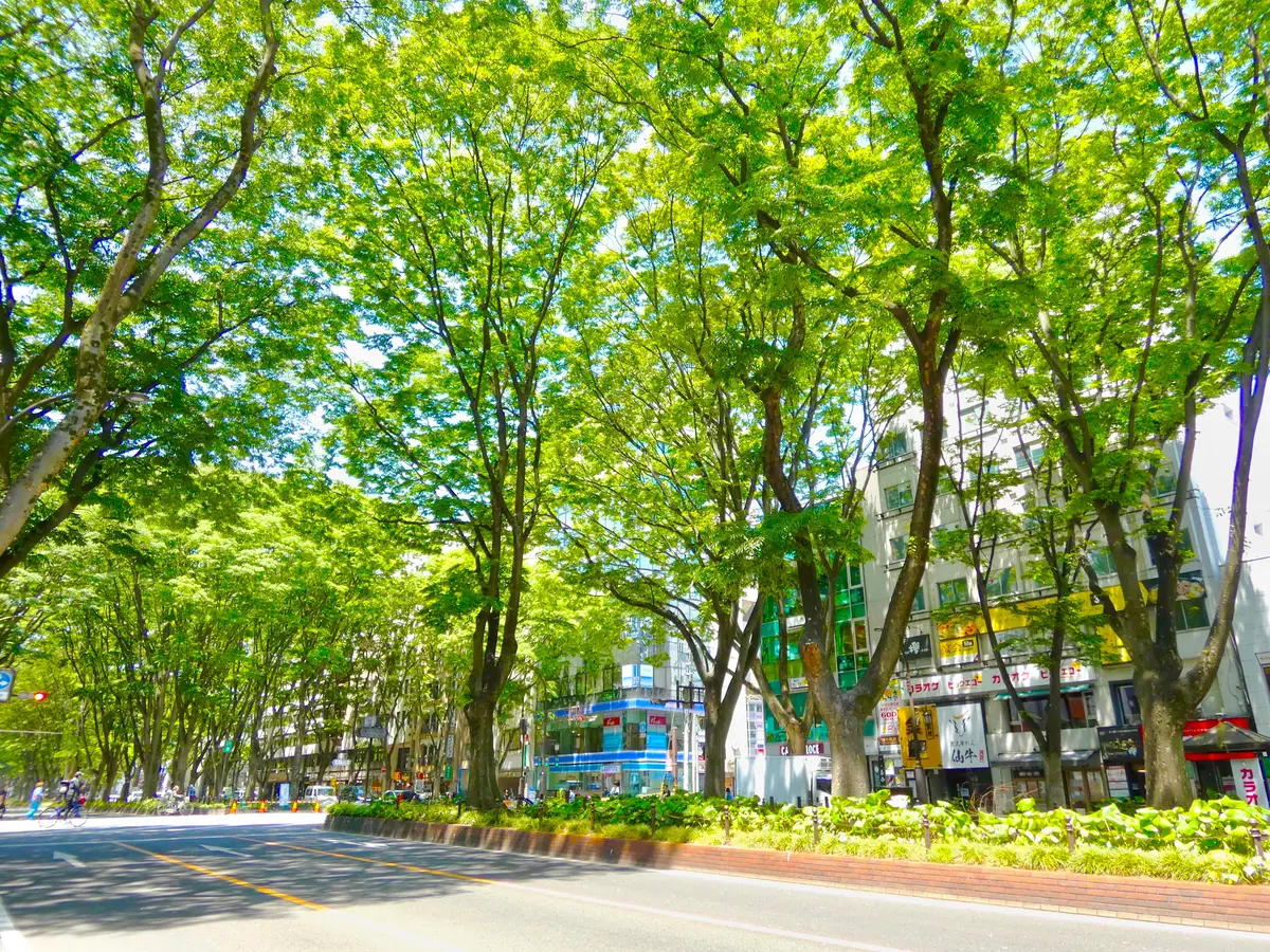 仙台　定禅寺通