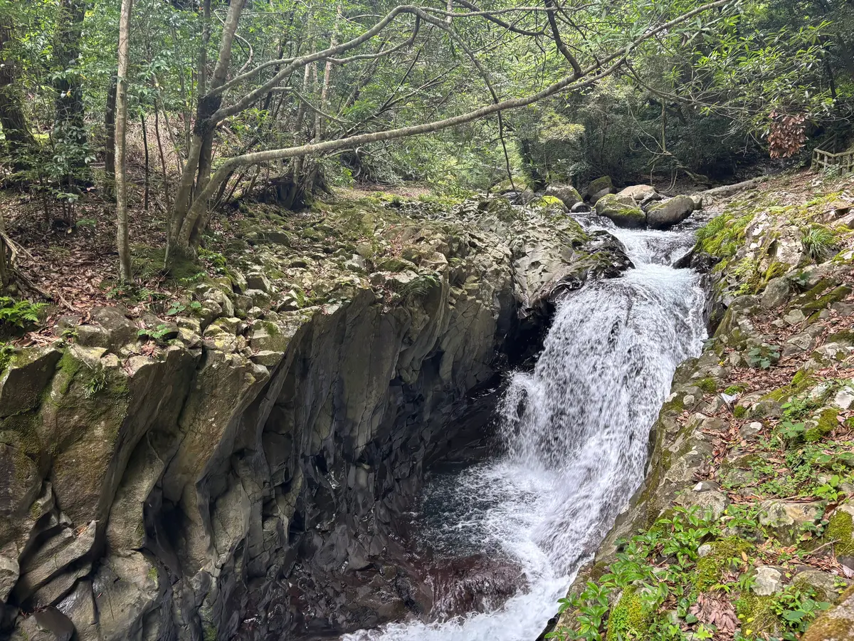 【静岡/河津】この夏行きたい、有名観光スの画像_7