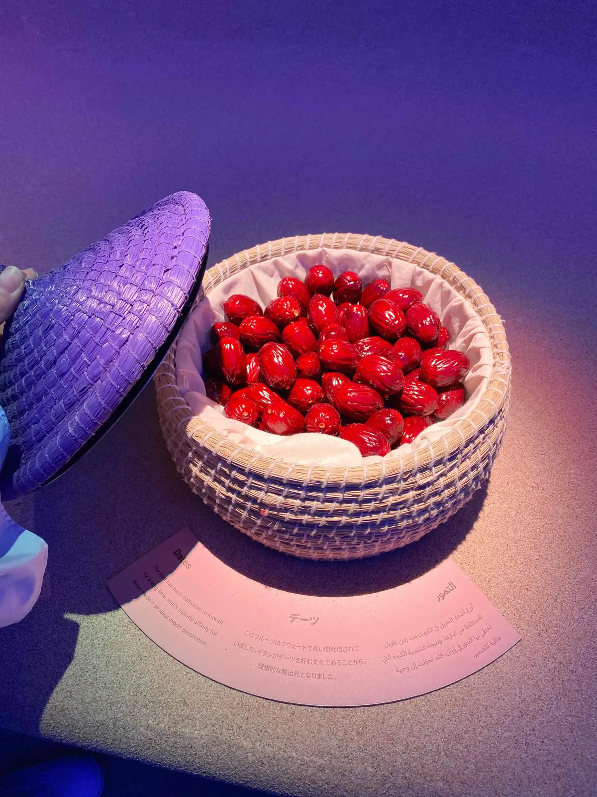 【大阪｜万博2025】現地の砂が触れる！の画像_12